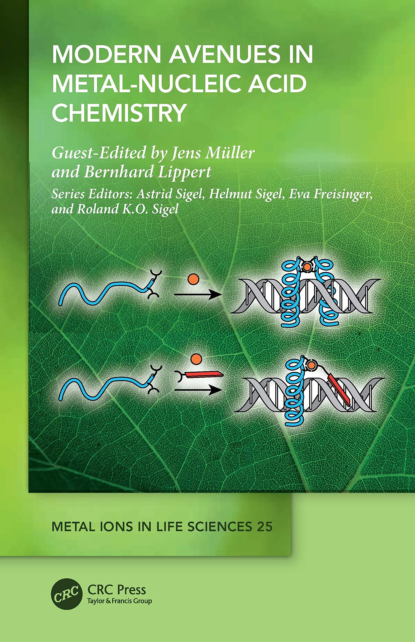 Modern Avenues in Metal-Nucleic Acid Chemistry Medicine