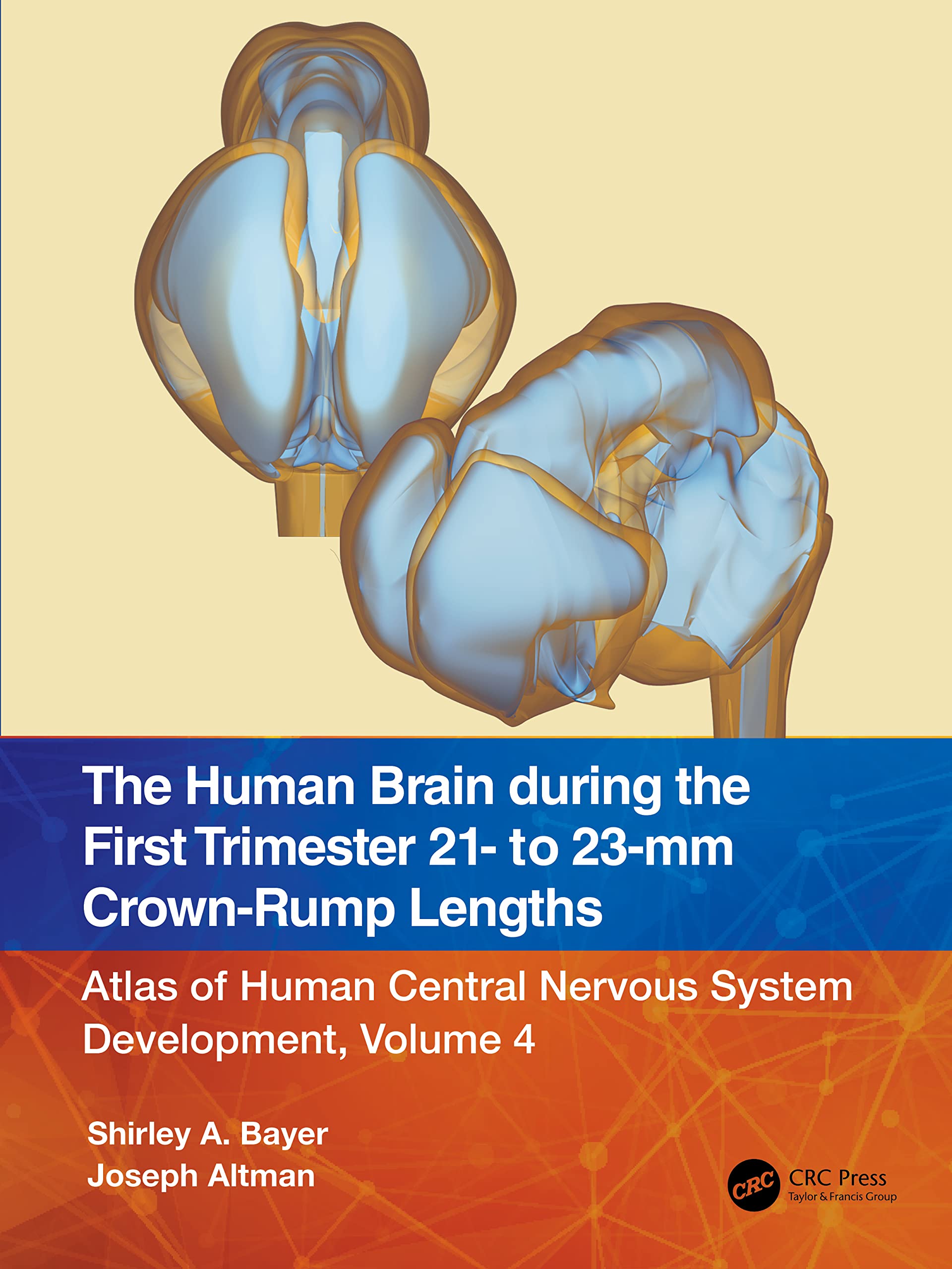 The Human Brain during the First Trimester 21- to 23-mm Crown-Rump Lengths Medicine