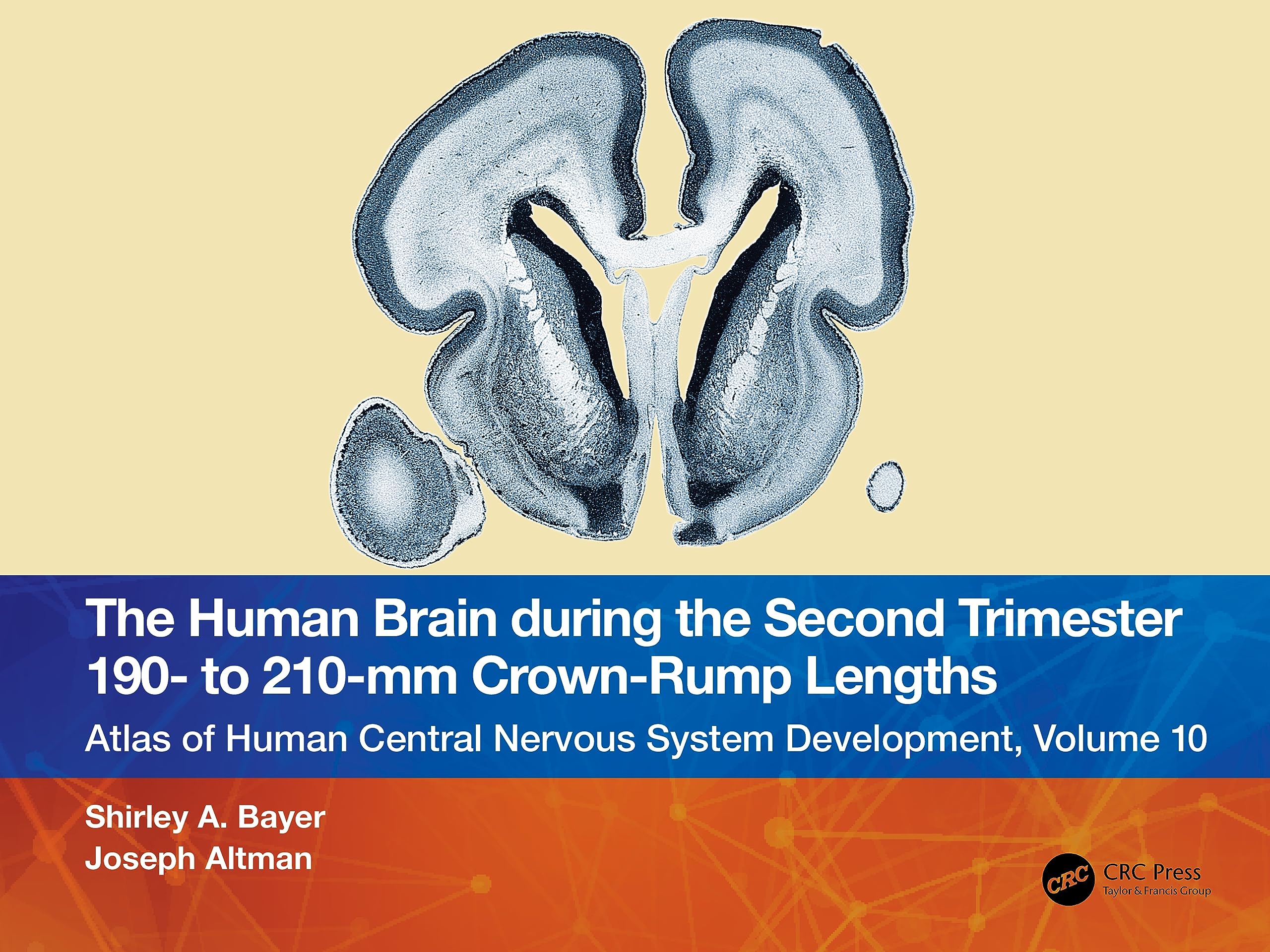 The Human Brain during the Second Trimester 190– to 210–mm Crown-Rump Lengths: Atlas of Human Central Nervous System Development, Volume 10 (Atlas of Human Central Nervous System Development, 10) Medicine
