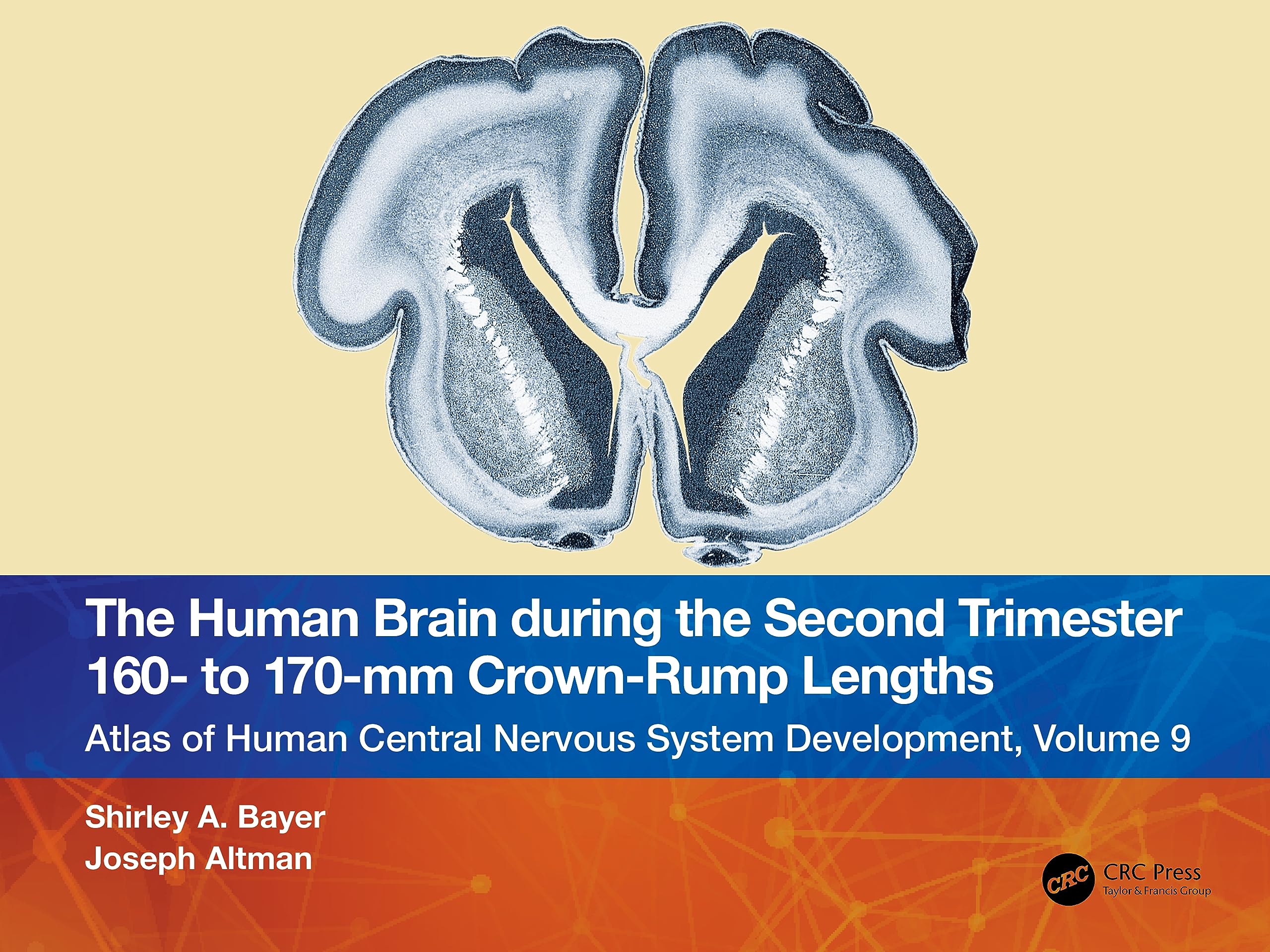 The Human Brain during the Second Trimester 160– to 170–mm Crown-Rump Lengths: Atlas of Human Central Nervous System Development, Volume 9 (Atlas of Human Central Nervous System Development, 9) Medicine