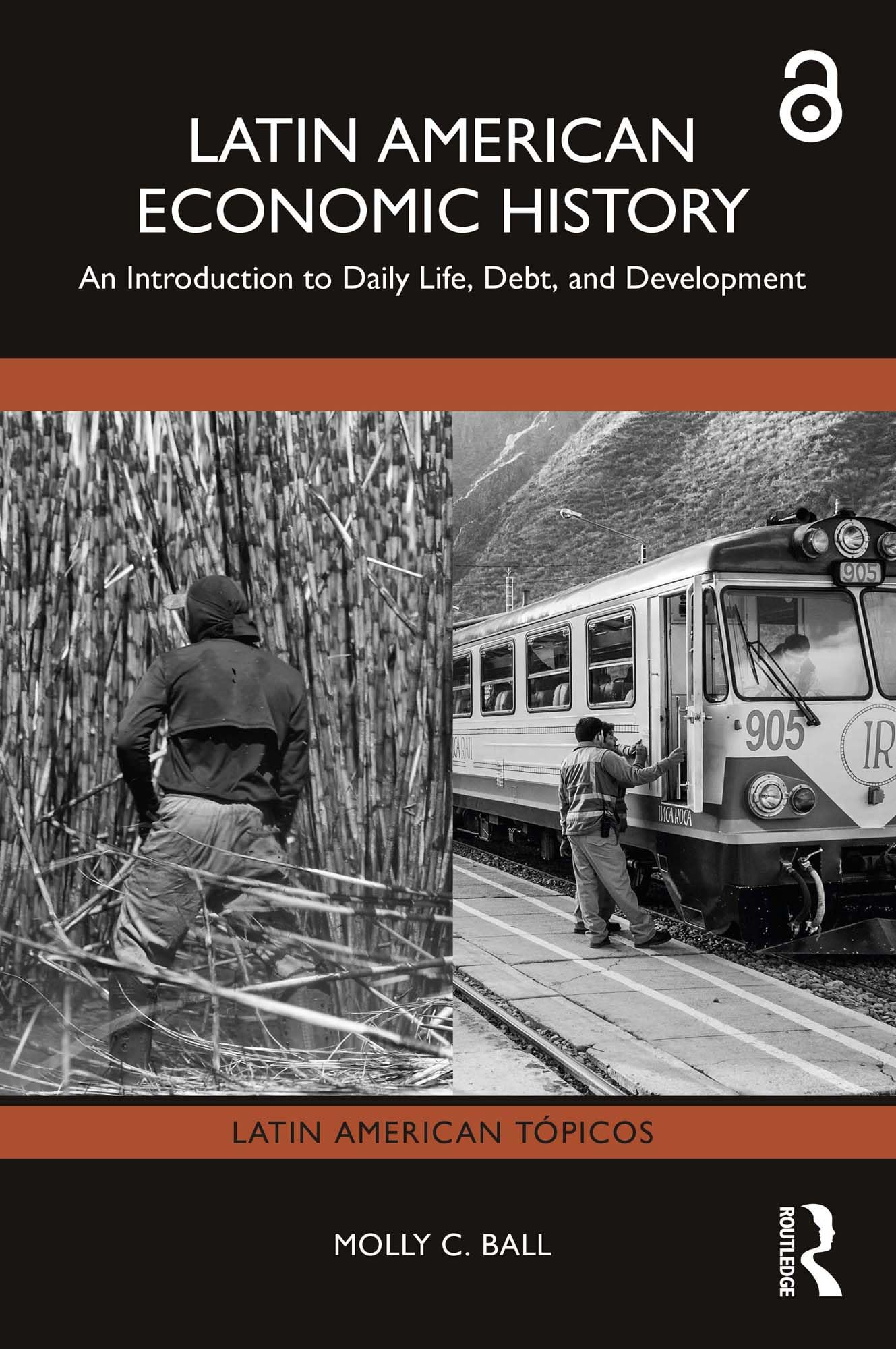 Latin American Economic History Business, Finance & Career