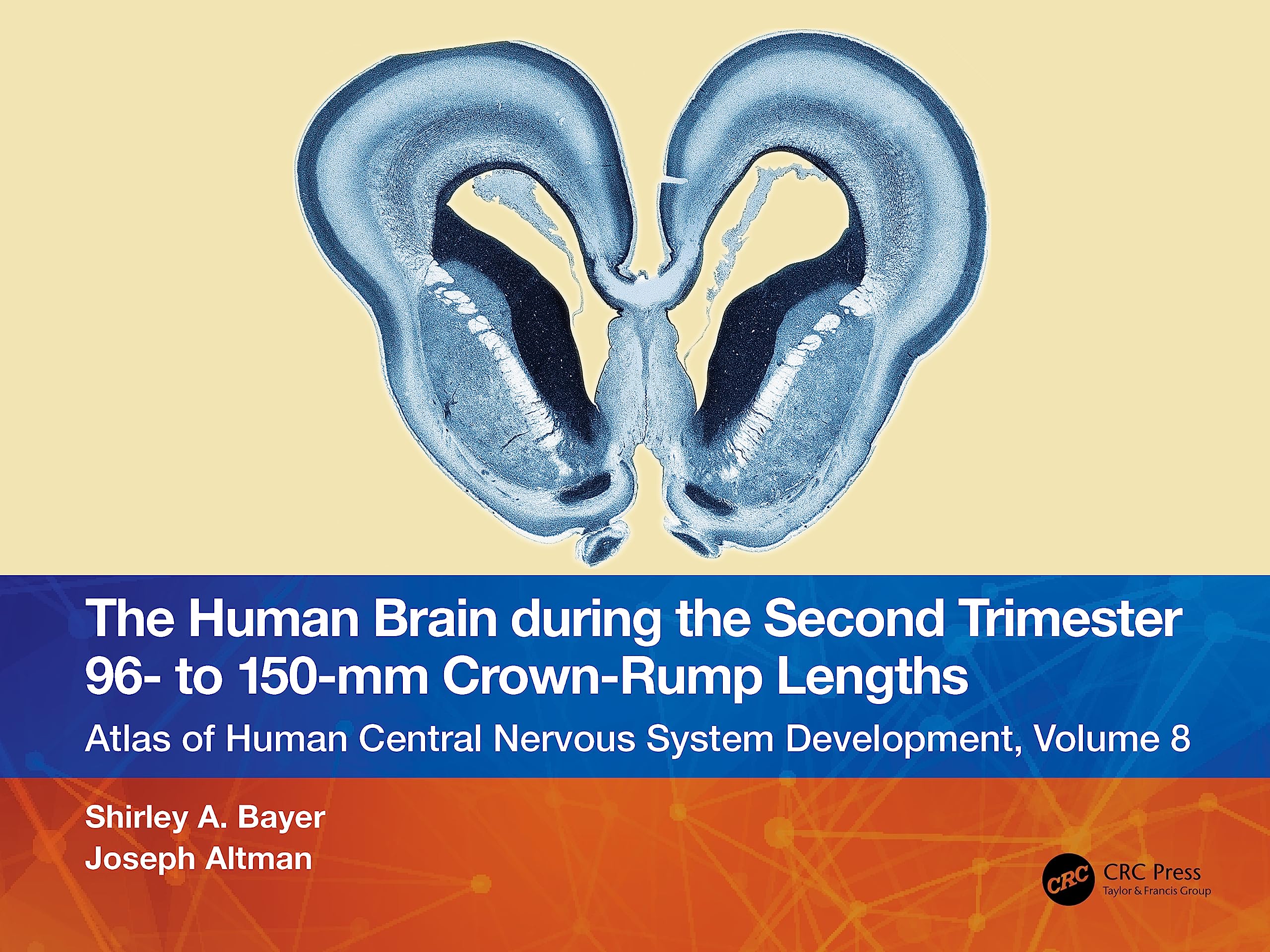 The Human Brain during the Second Trimester 96– to 150–mm Crown-Rump Lengths: Atlas of Human Central Nervous System Development, Volume 8 (Atlas of Human Central Nervous System Development, 8) Medicine