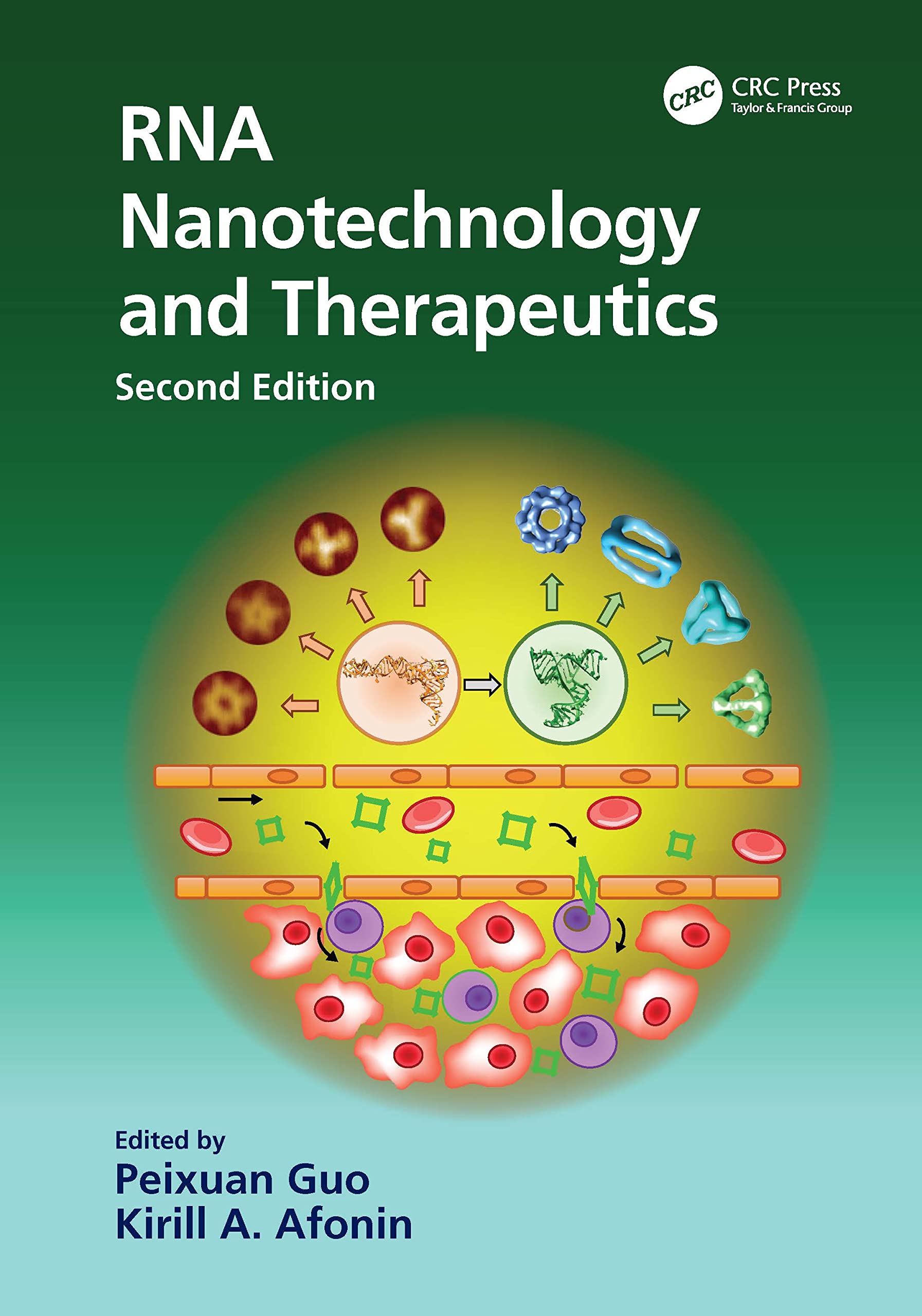 Rna Nanotechnology and Therapeutics Medicine