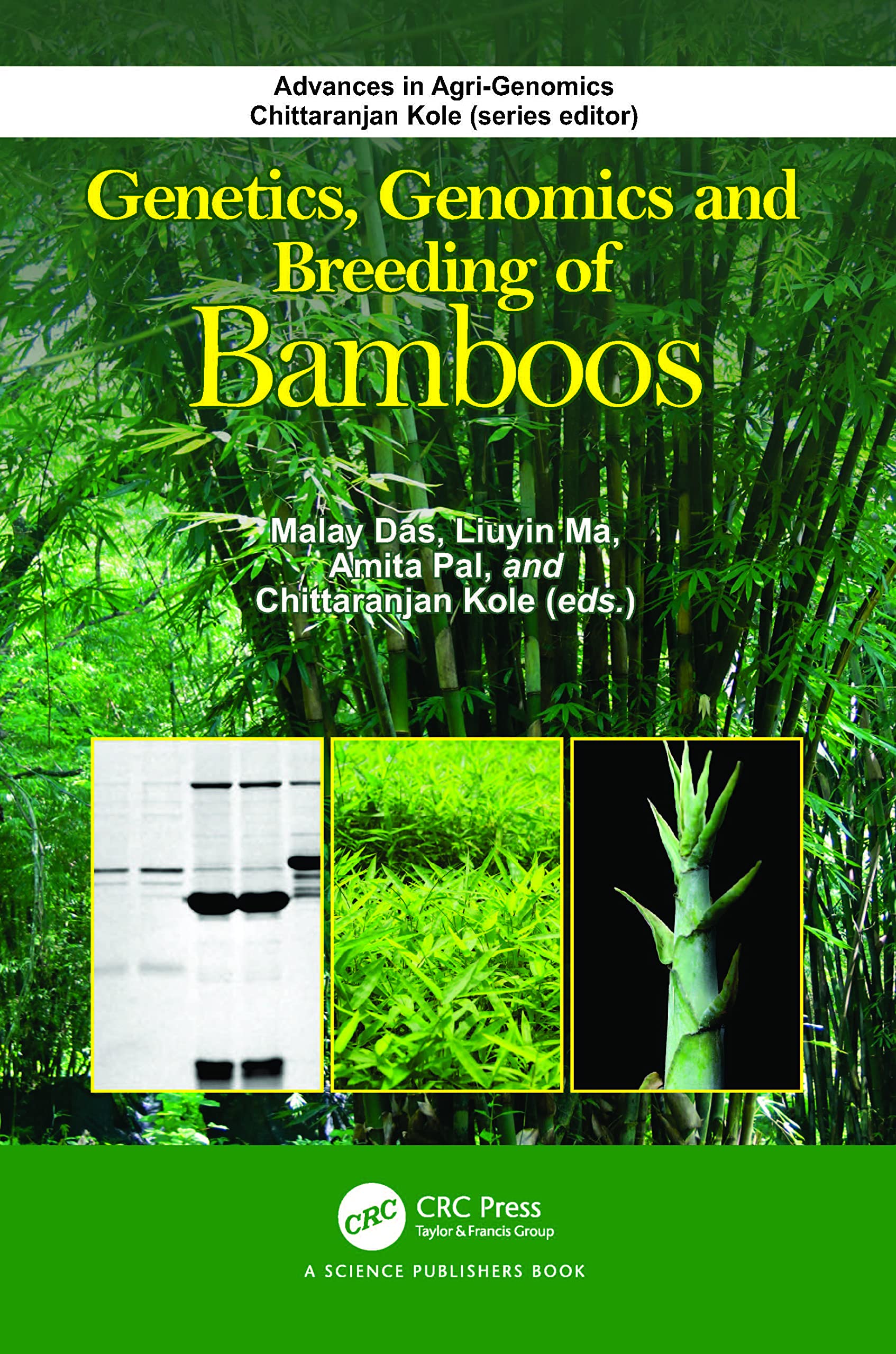 Genetics, Genomics and Breeding of Bamboos Business, Finance & Career