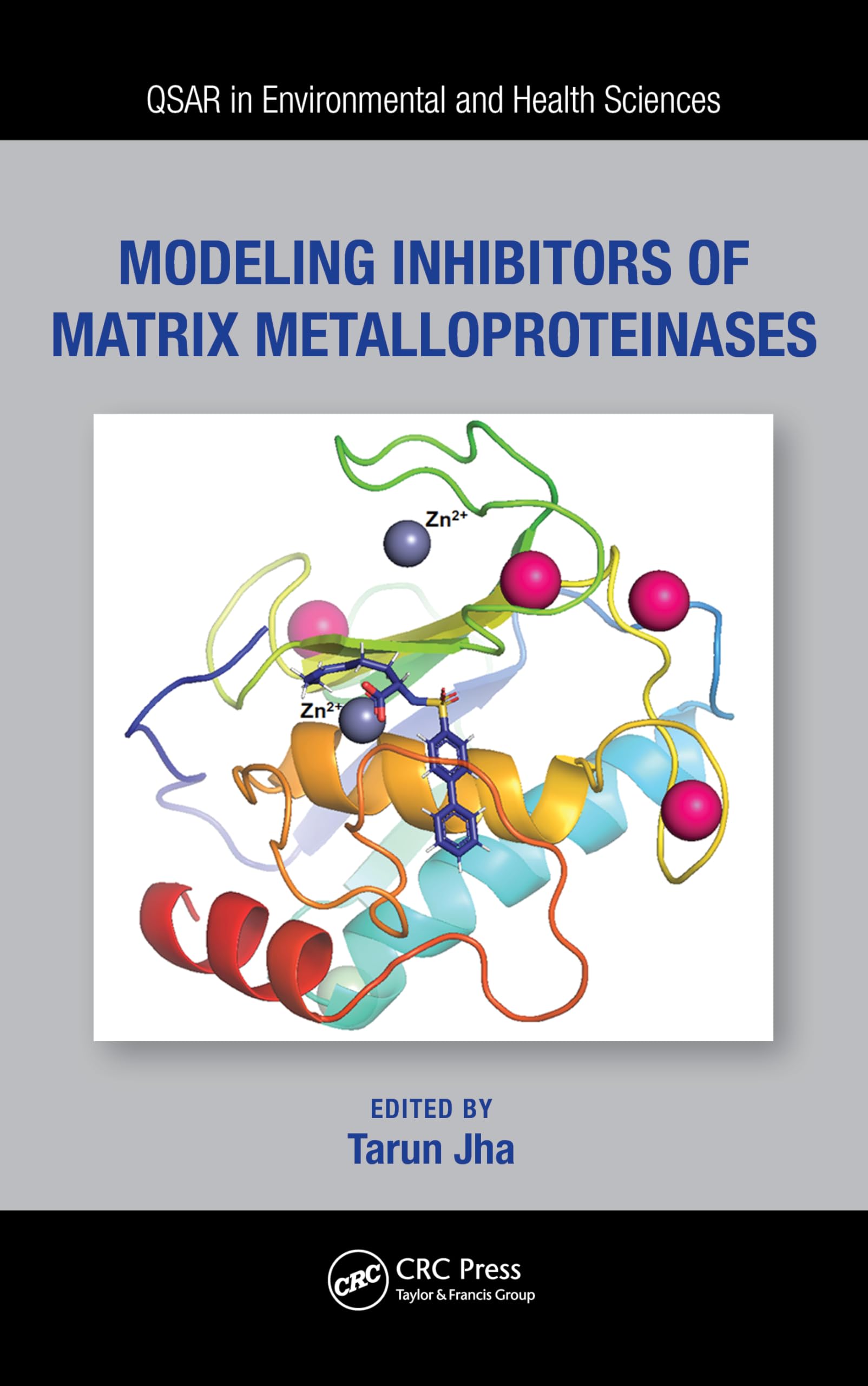 Modeling Inhibitors of Matrix Metalloproteinases Medicine