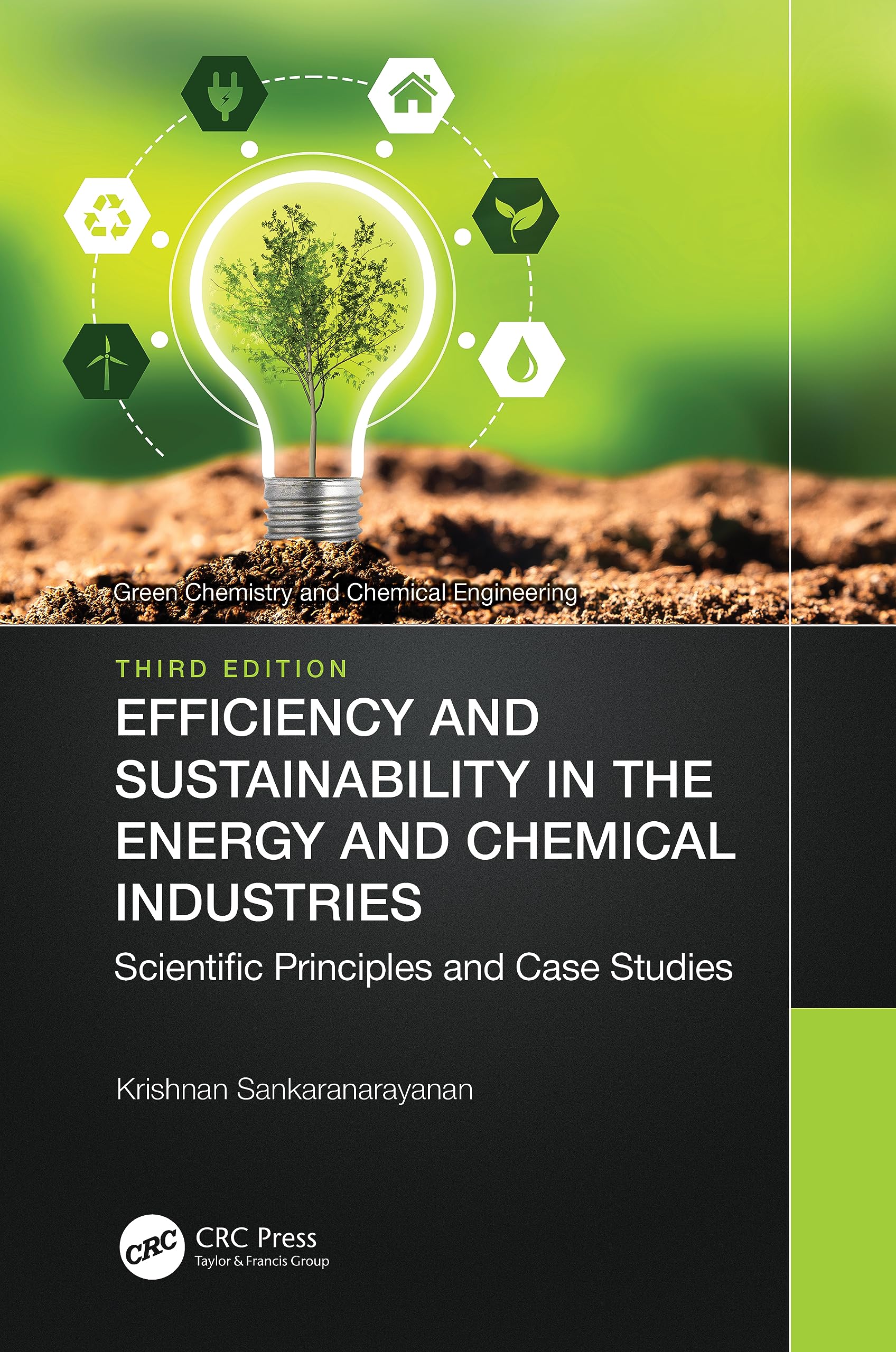 Efficiency and Sustainability in the Energy and Chemical Industries Business & Technology