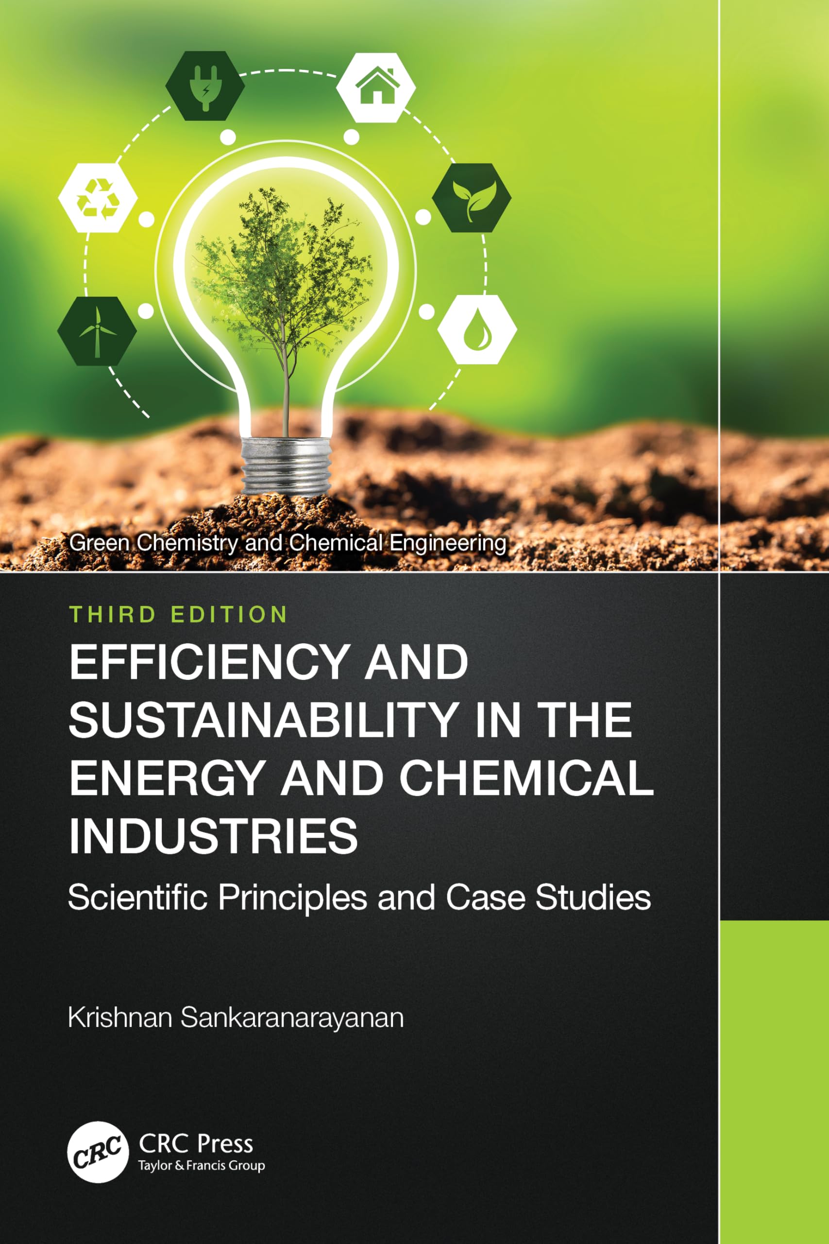 Efficiency and Sustainability in the Energy and Chemical Industries Business & Technology