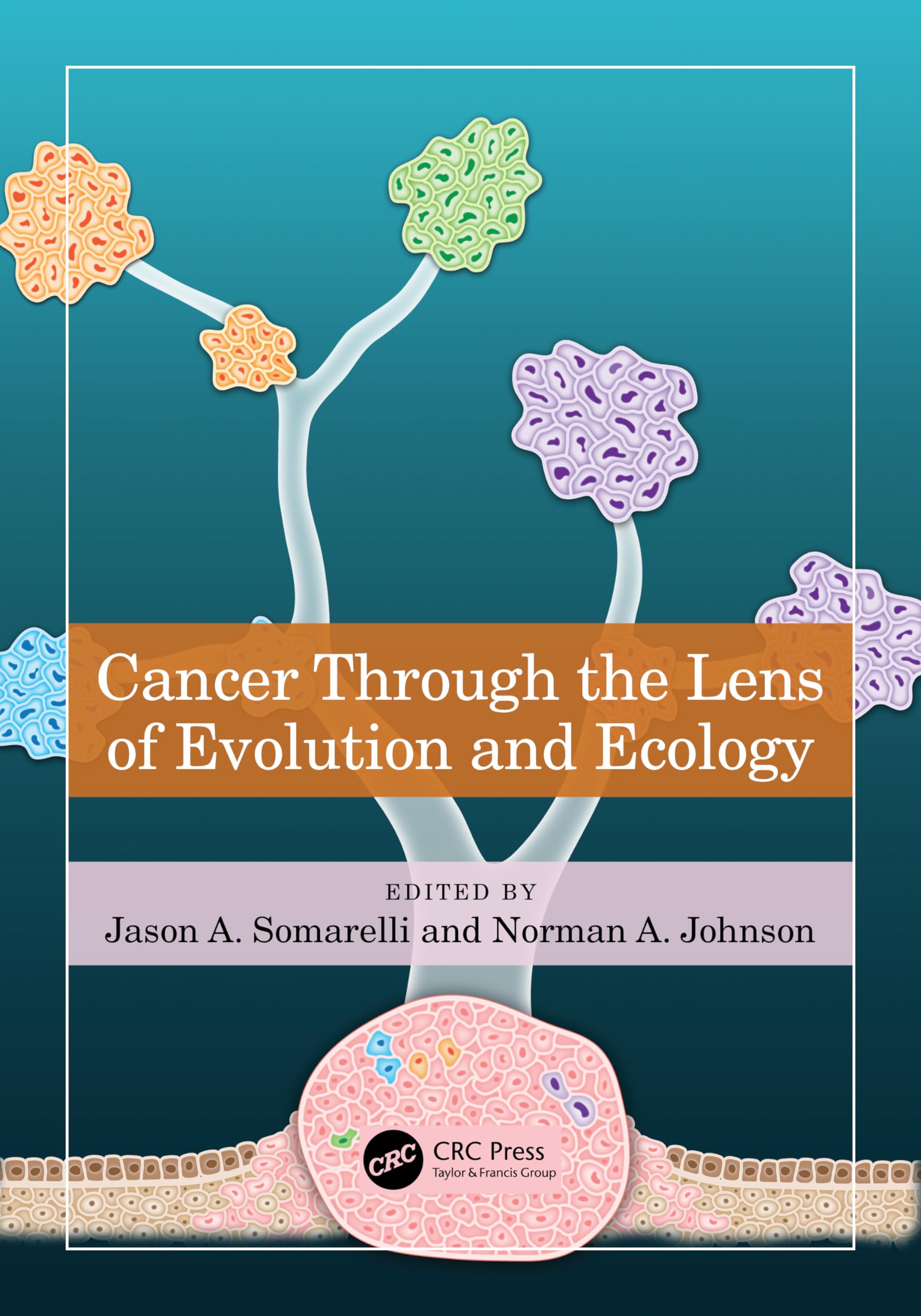 Cancer through the Lens of Evolution and Ecology Medicine