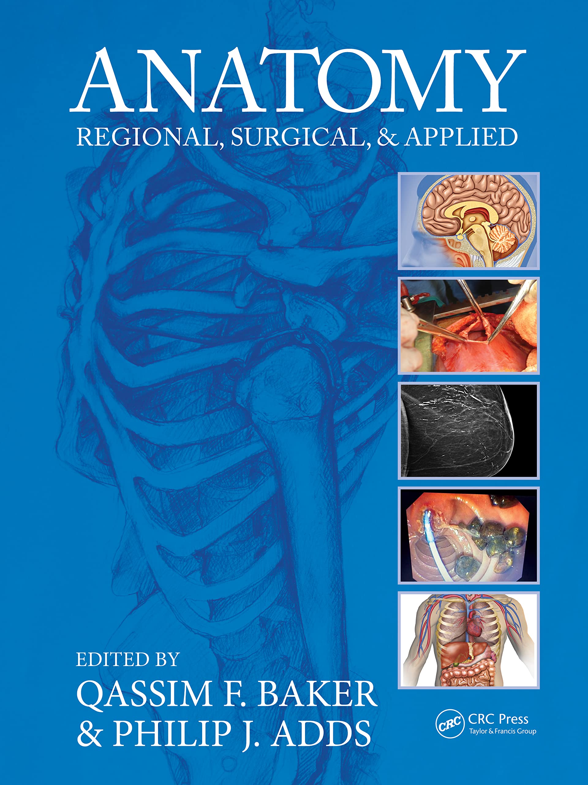 Anatomy Medicine