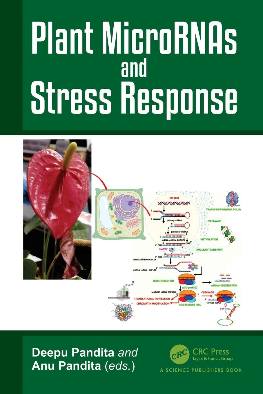 Plant MicroRNAs and Stress Response Business, Finance & Career