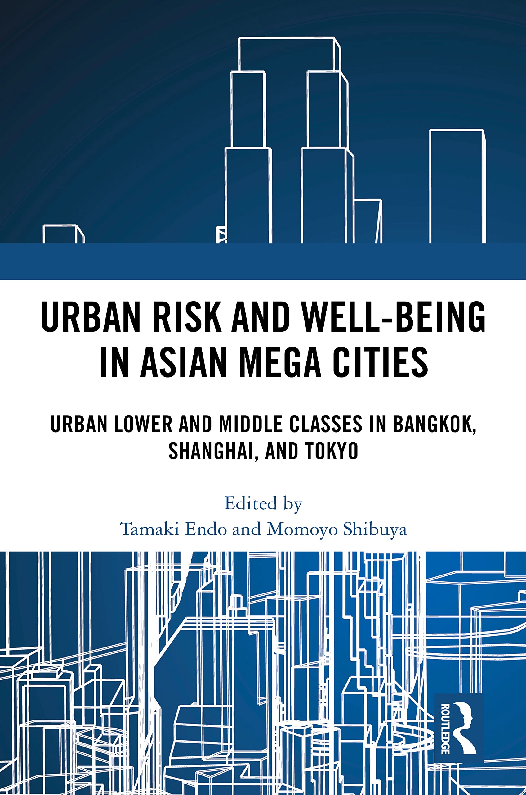 Urban Risk and Well-being in Asian Megacities Law