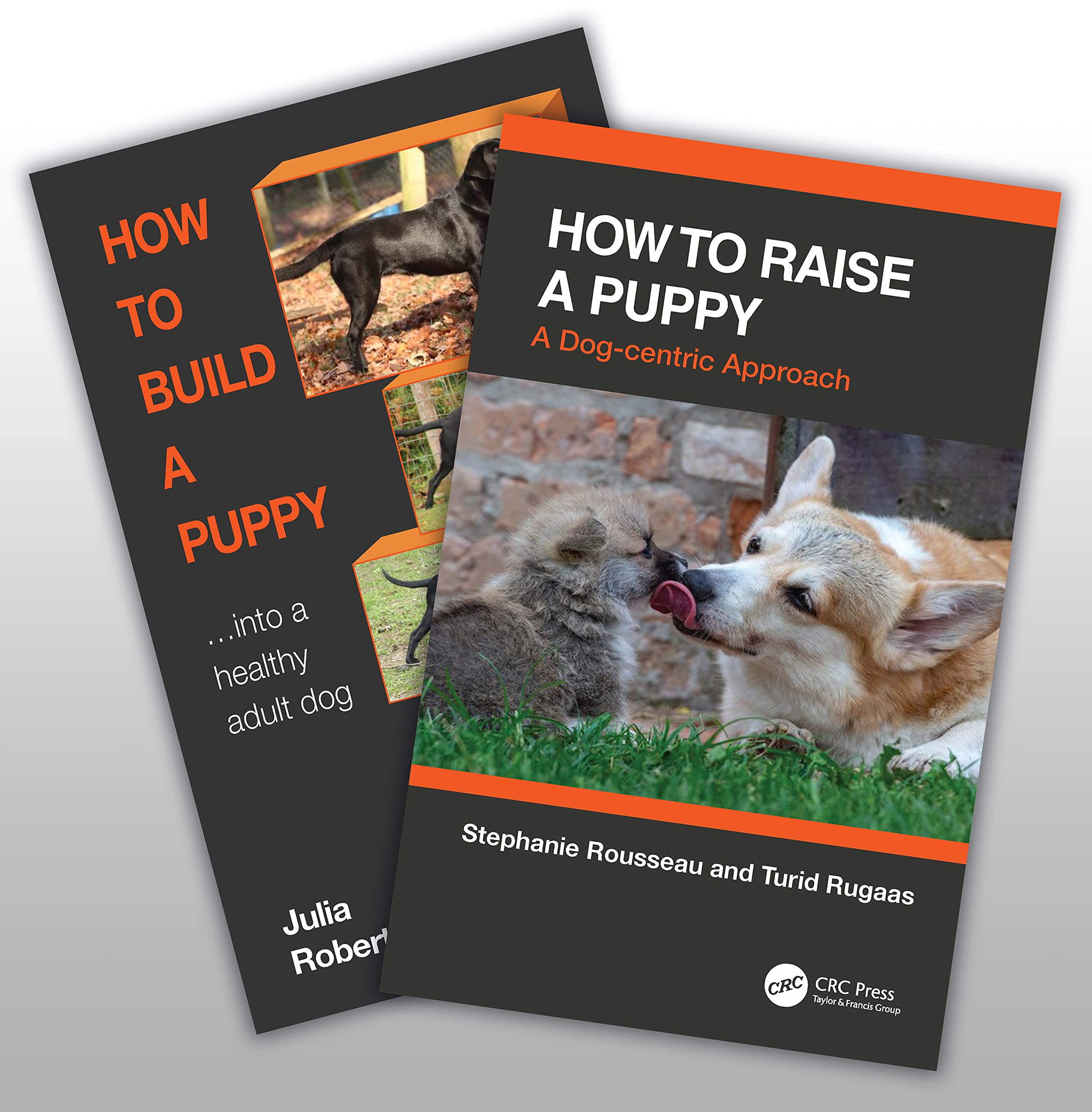 How to Raise a Healthy / How to Build a Puppy Medicine
