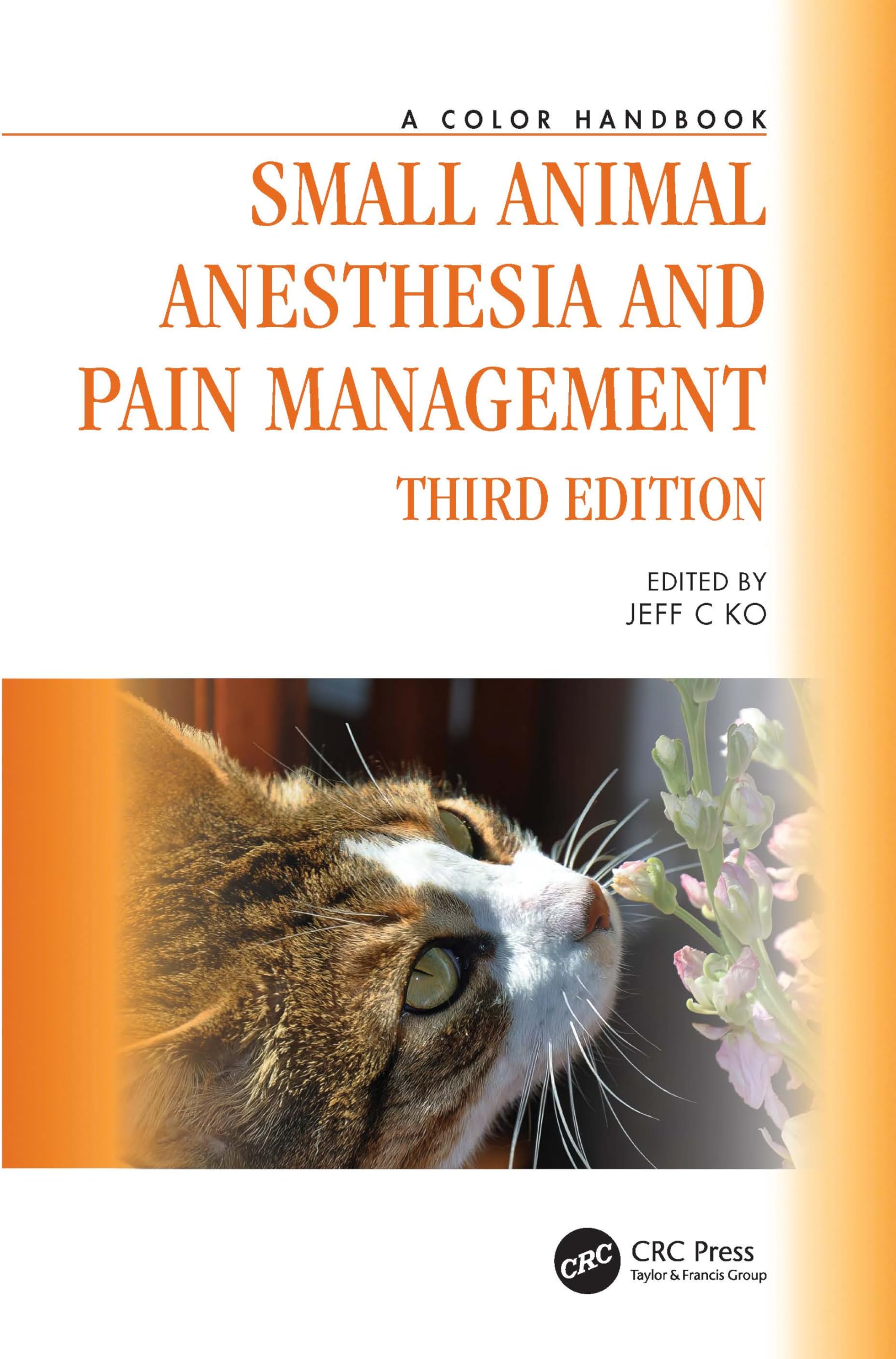 Small Animal Anesthesia and Pain Management: A Color Handbook (Veterinary Color Handbook) Medicine