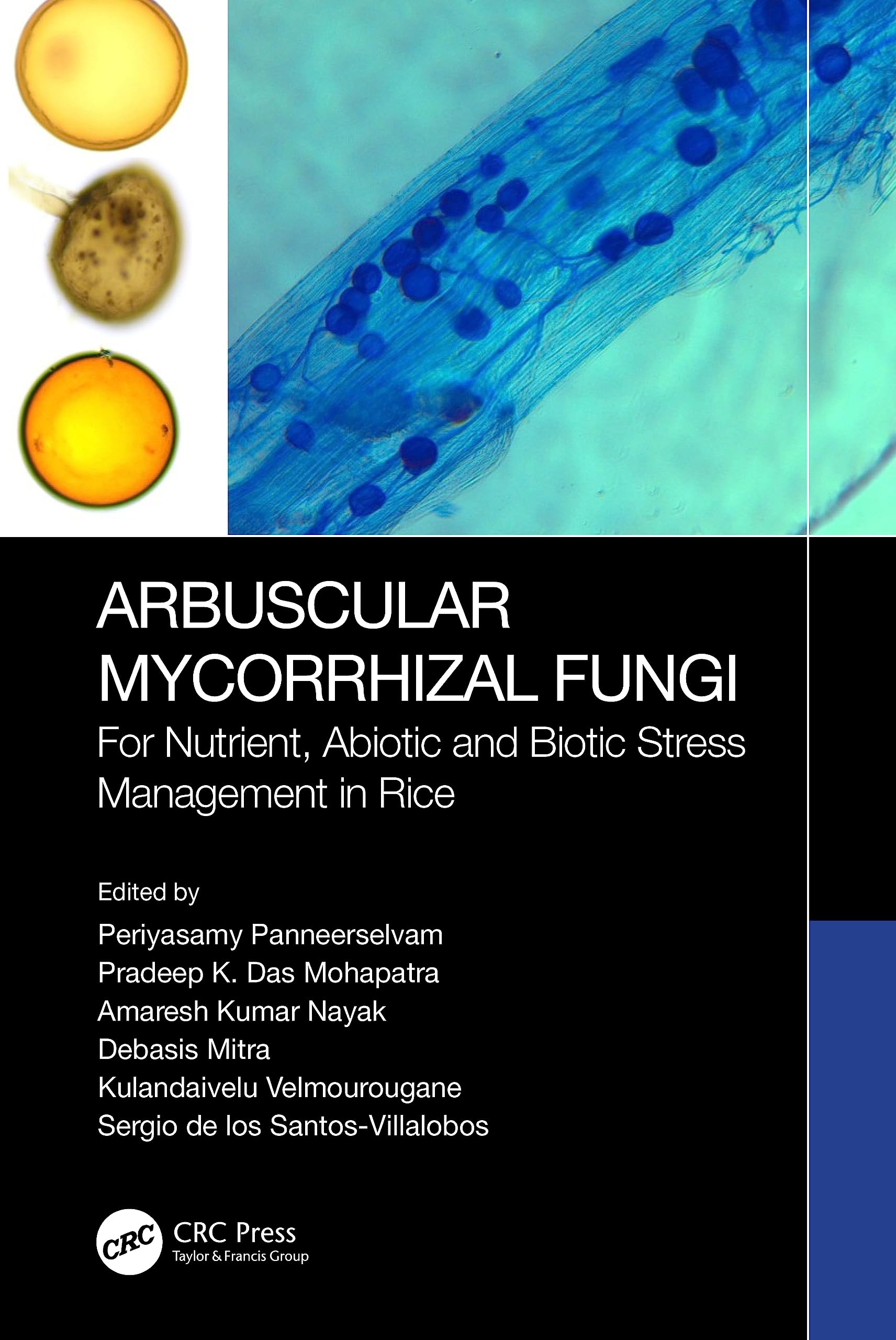 Arbuscular Mycorrhizal Fungi: For Nutrient, Abiotic and Biotic Stress Management in Rice Business, Finance & Career