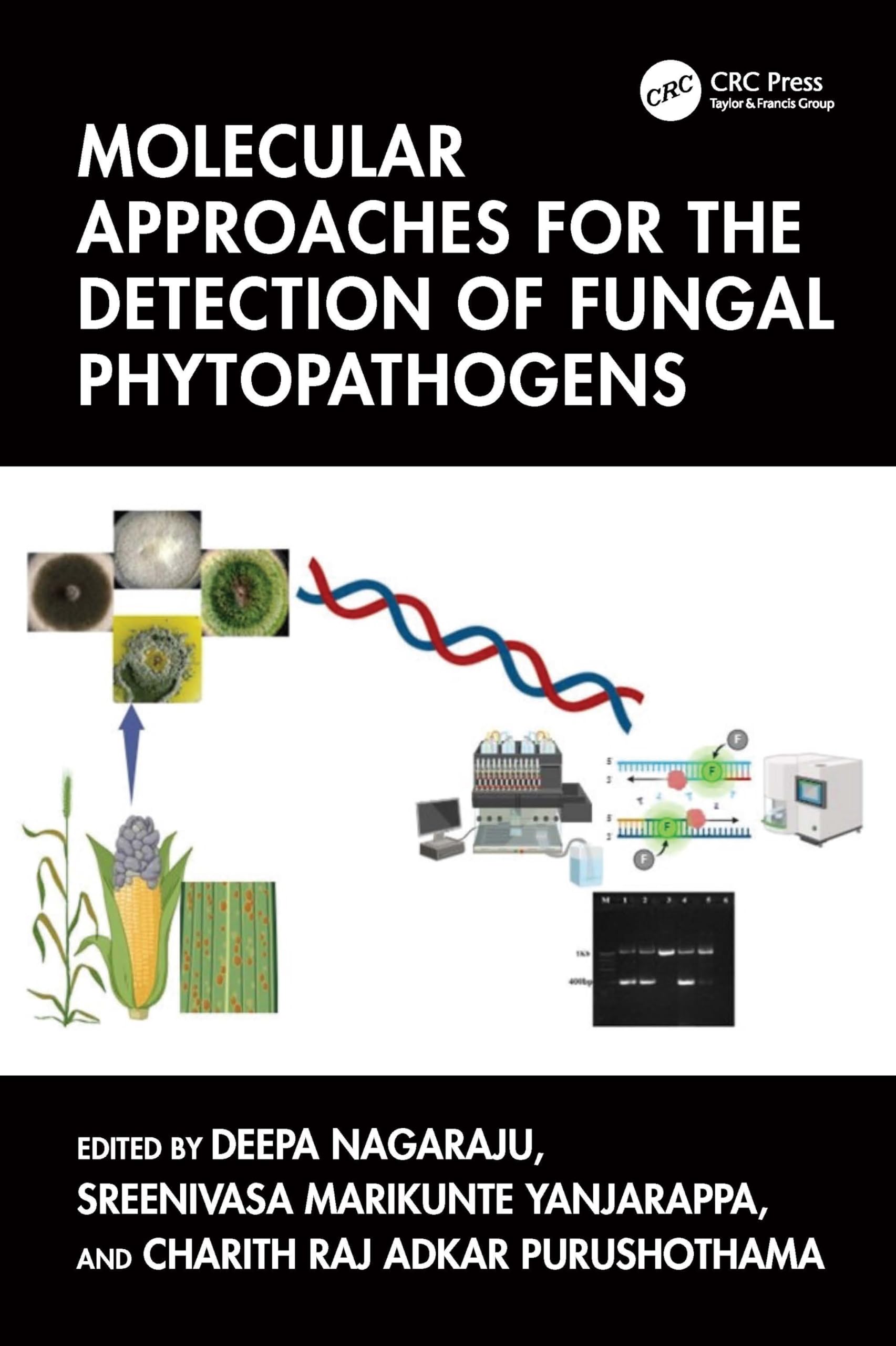 Molecular Approaches for the Detection of Fungal Phytopathogens Business, Finance & Career