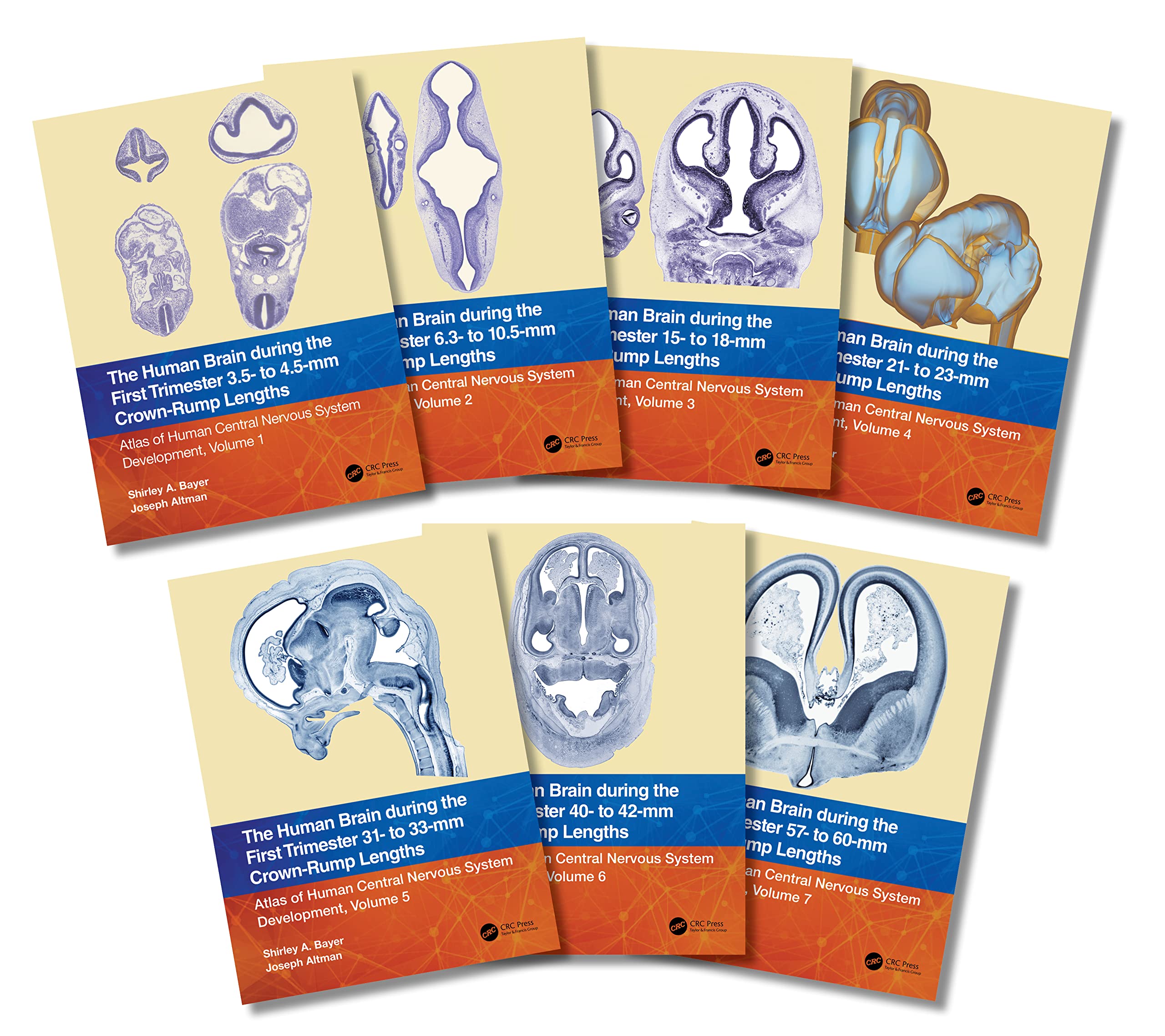 The Human Brain During the First Trimester: Atlas of Human Central Nervous System Development, Volume 1-7 Medicine