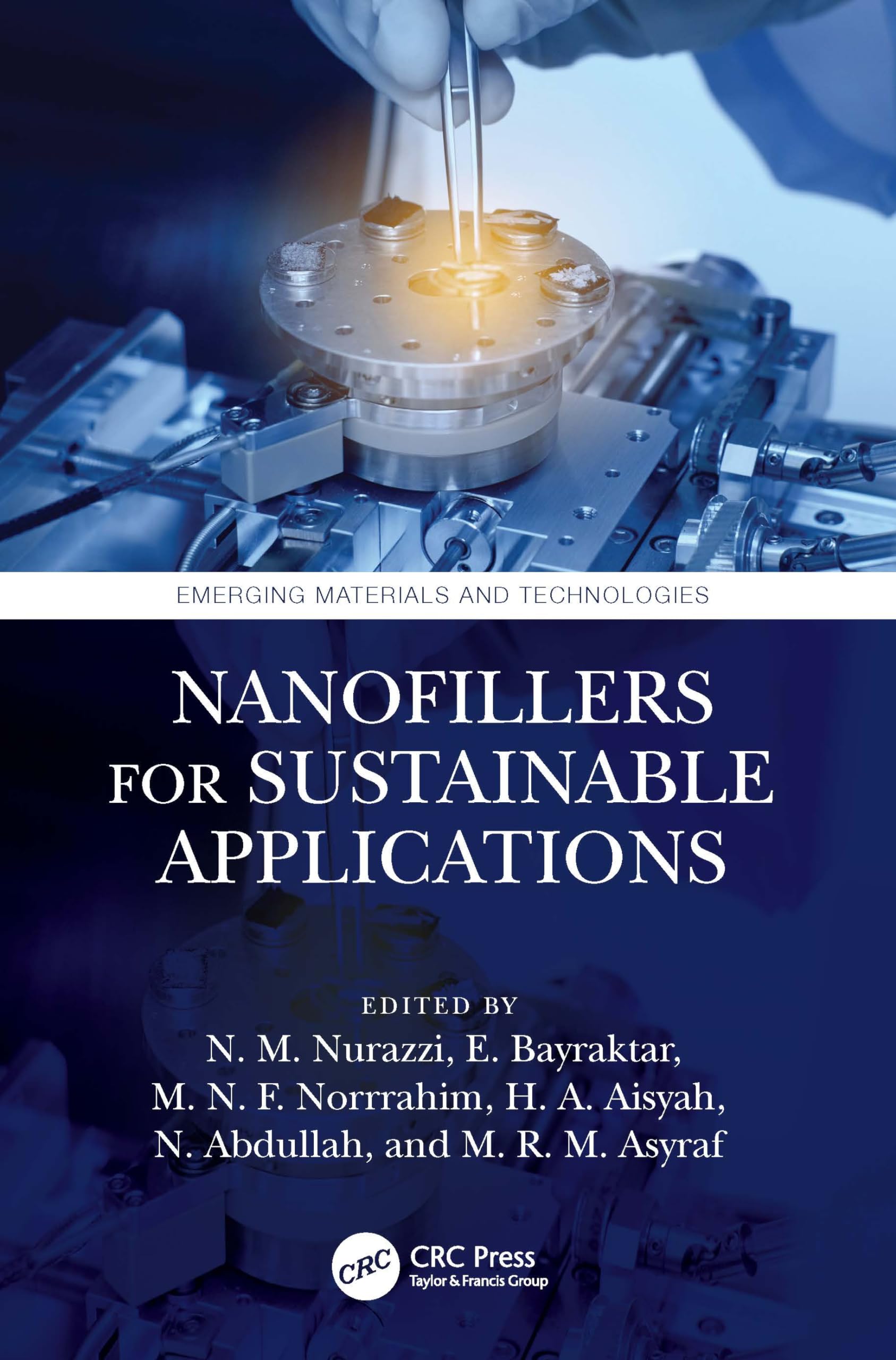 Nanofillers for Sustainable Applications Business & Technology
