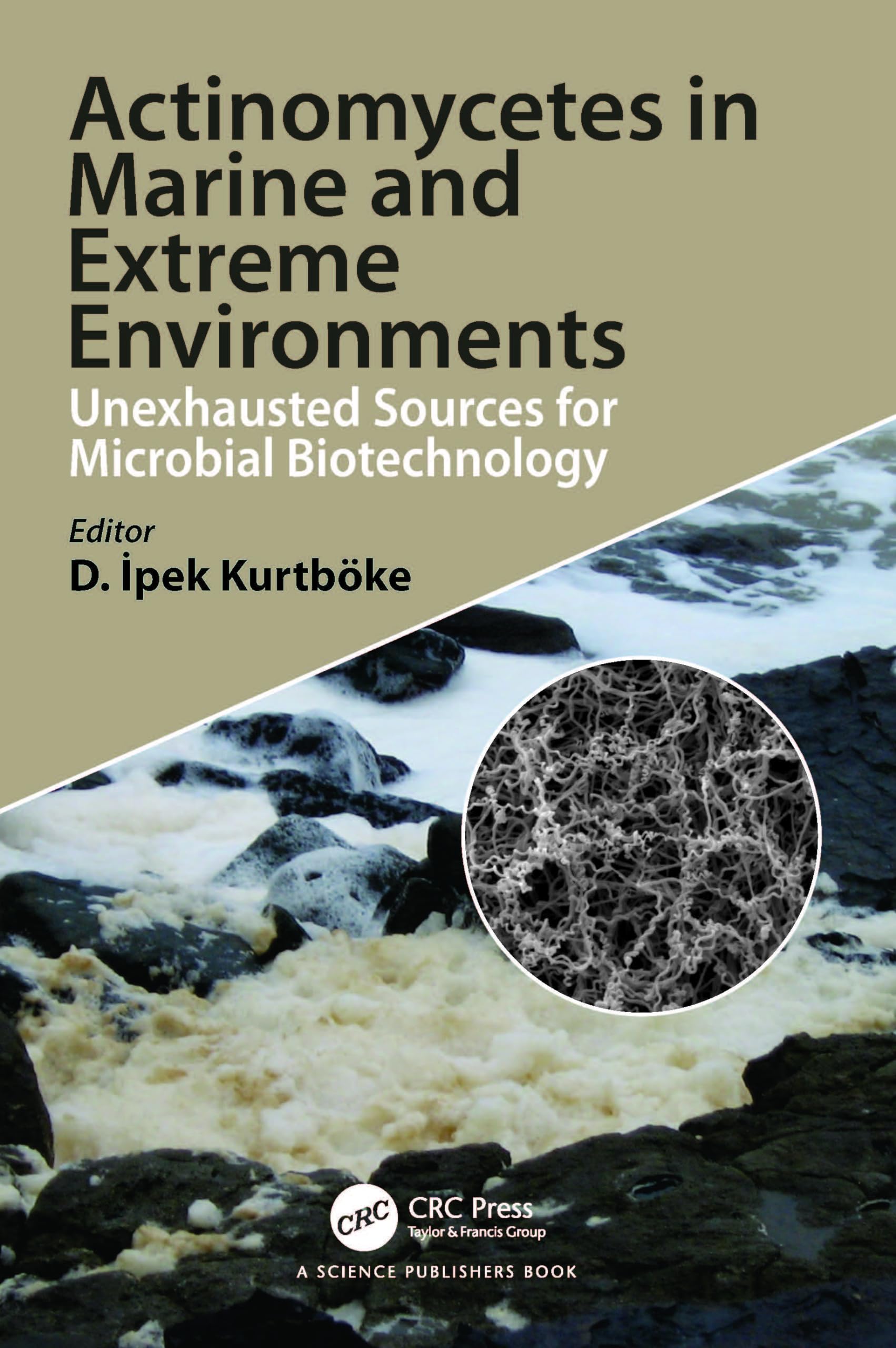Actinomycetes in Marine and Extreme Environments Medicine