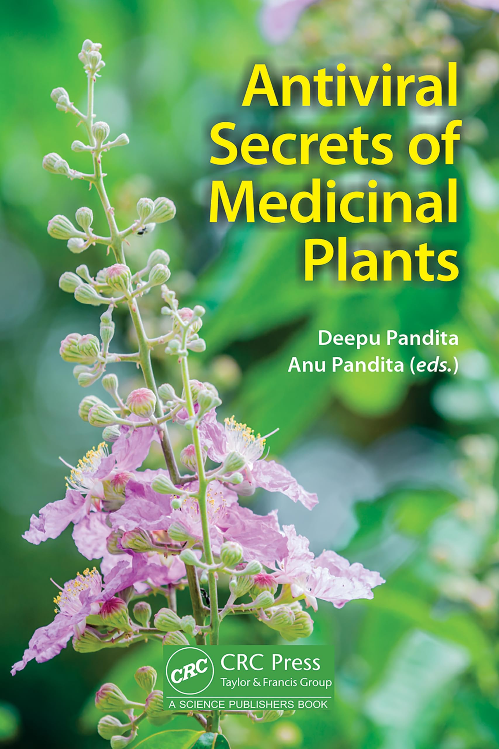 Antiviral Secrets of Medicinal Plants Medicine