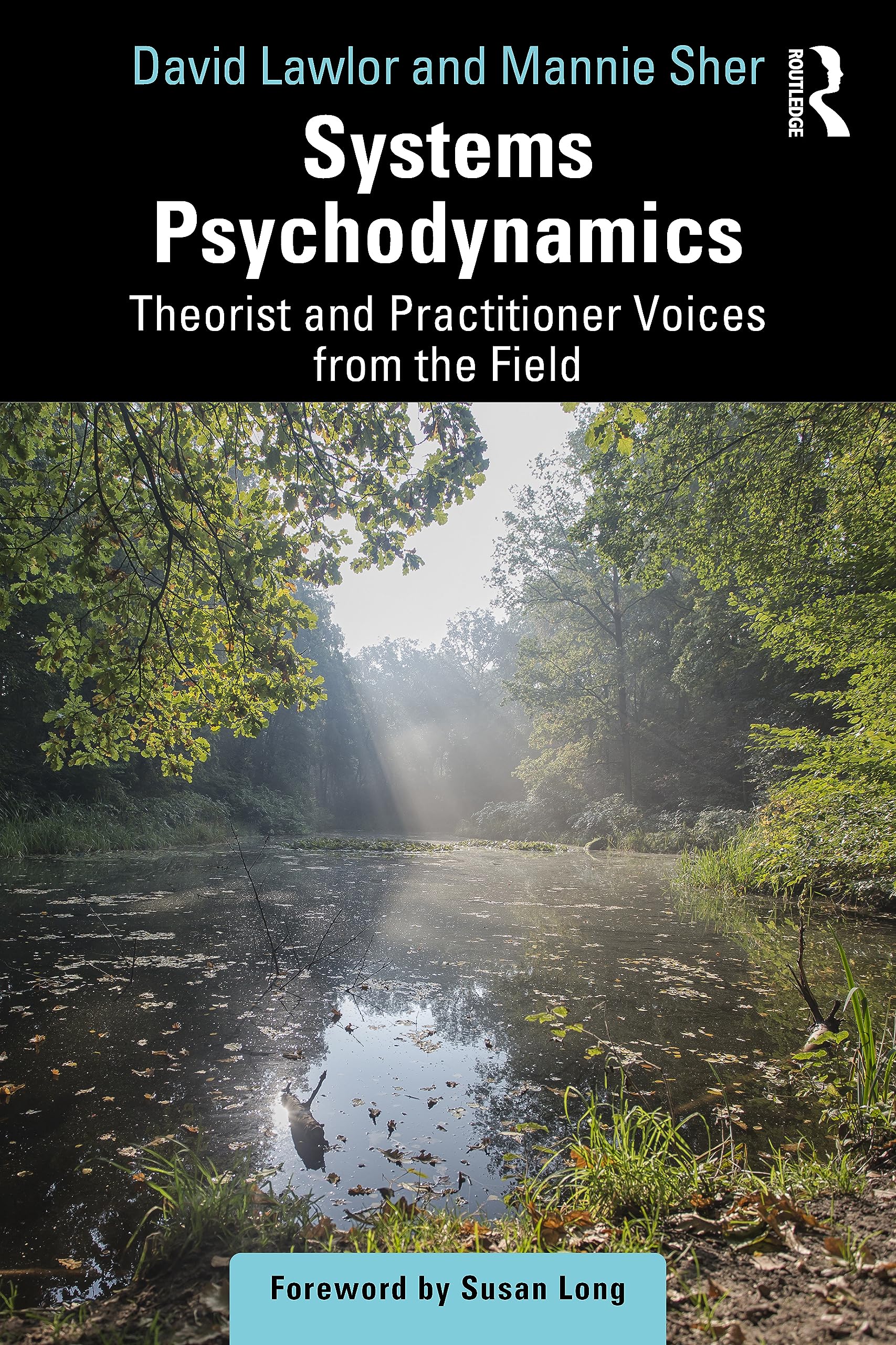 Systems Psychodynamics: Theorist and Practitioner Voices from the Field Medicine