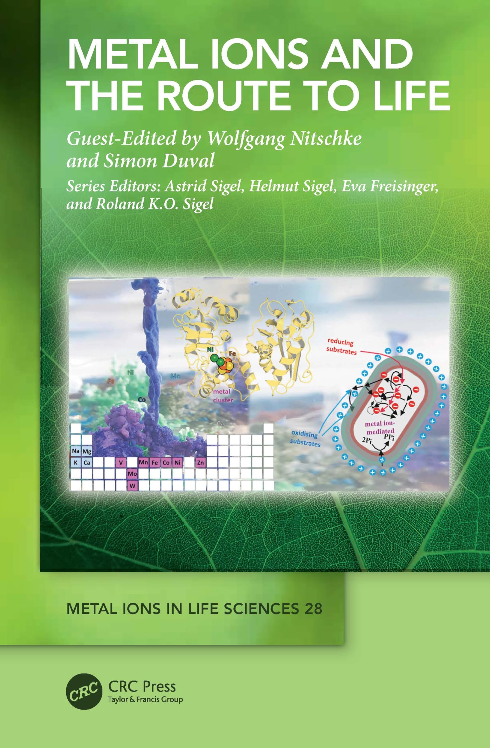Metal Ions and the Route to Life Natural Sciences