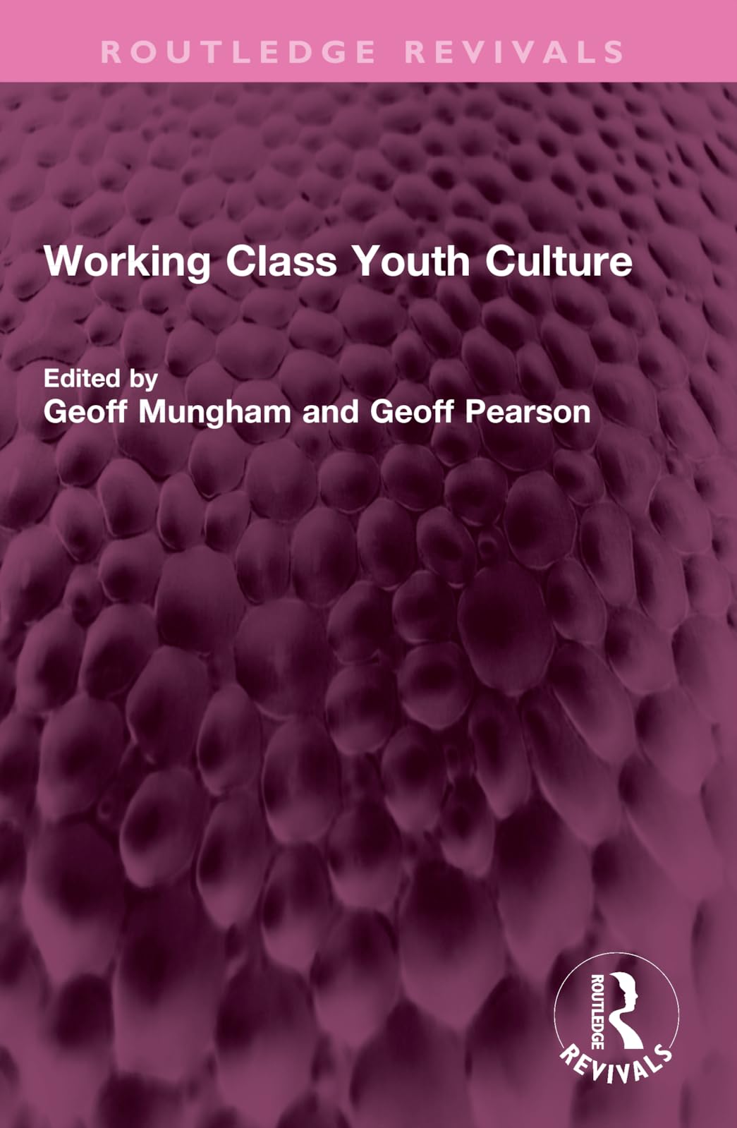 Working Class Youth Culture (Routledge Revivals) Social Sciences