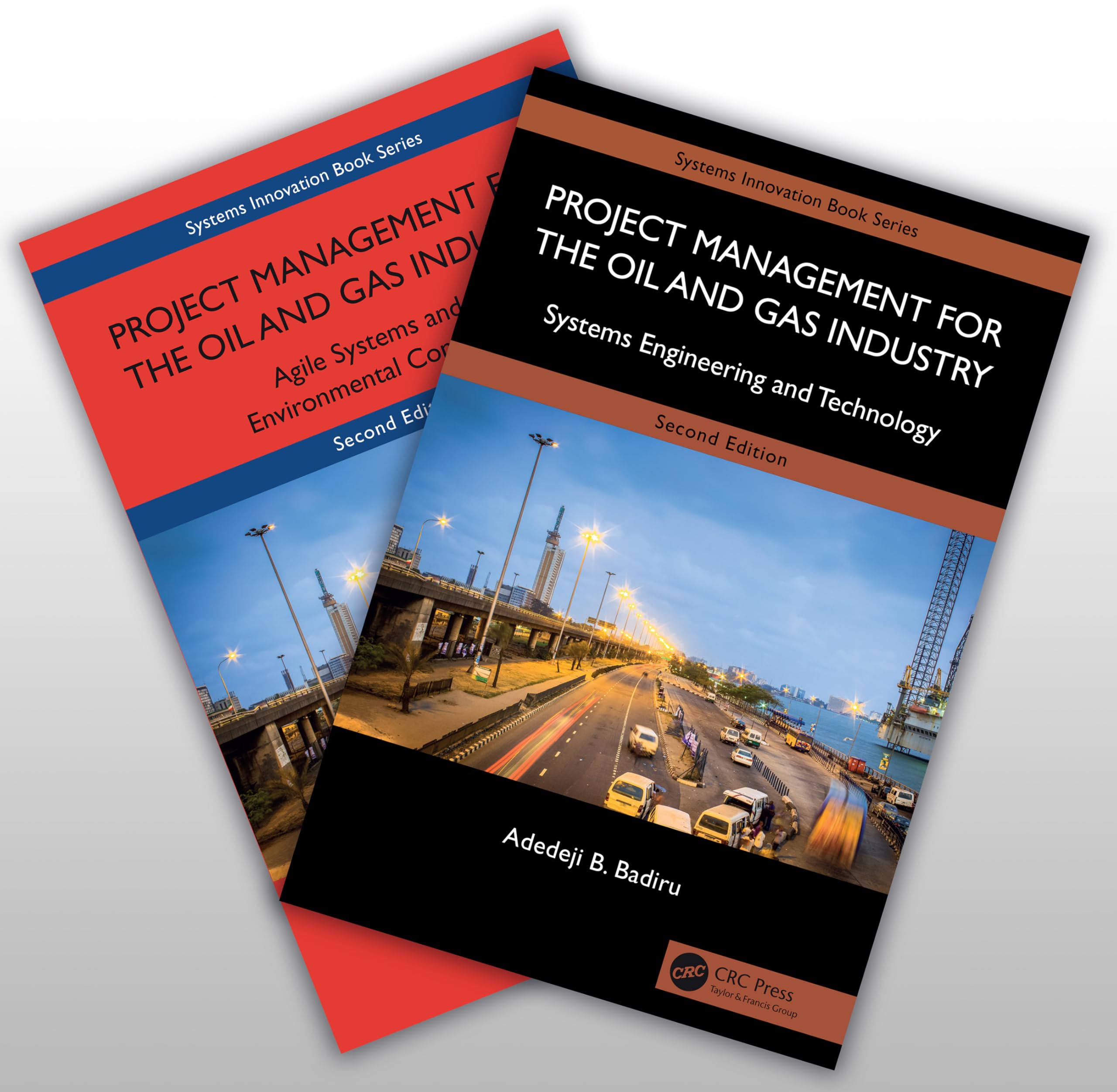 Project Management for the Oil and Gas Industry: A Global System Approach book