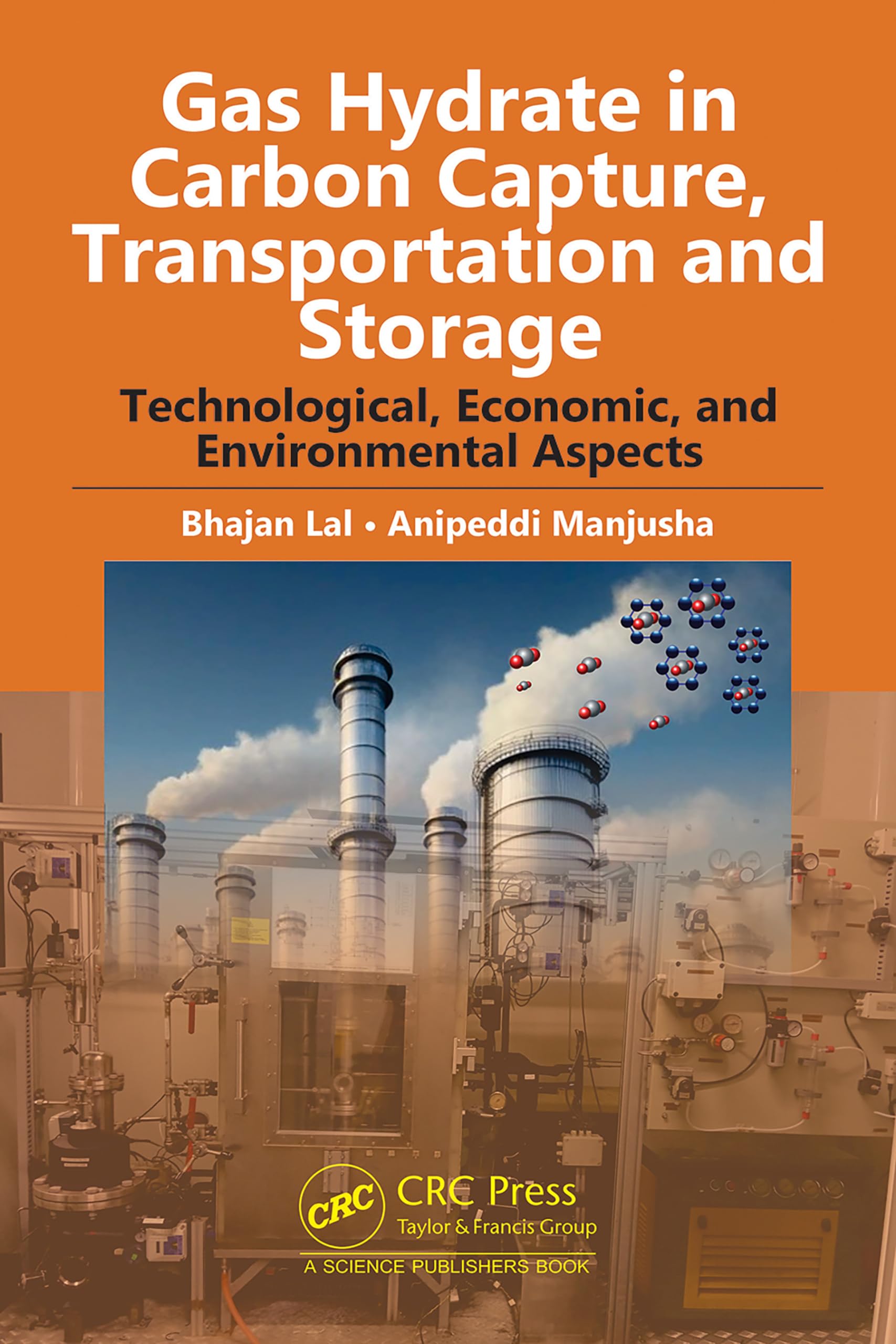 Gas Hydrate in Carbon Capture, Transportation and Storage Business & Technology