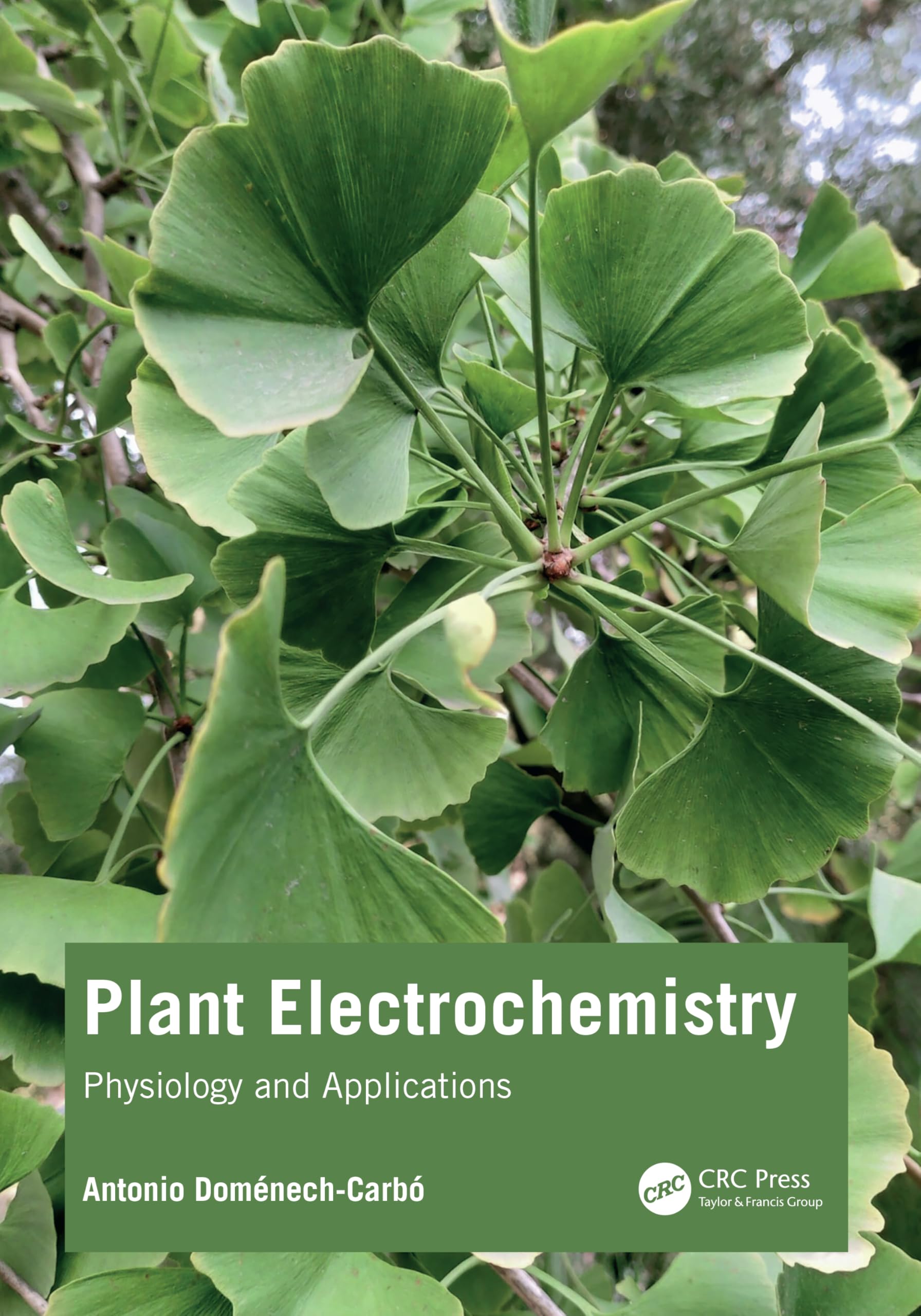 Plant Electrochemistry Natural Sciences