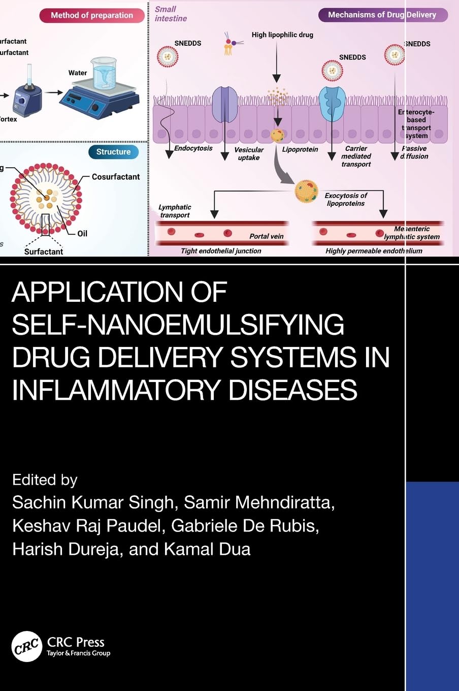 Application of Self-Nanoemulsifying Drug Delivery Systems in Inflammatory Diseases Medicine