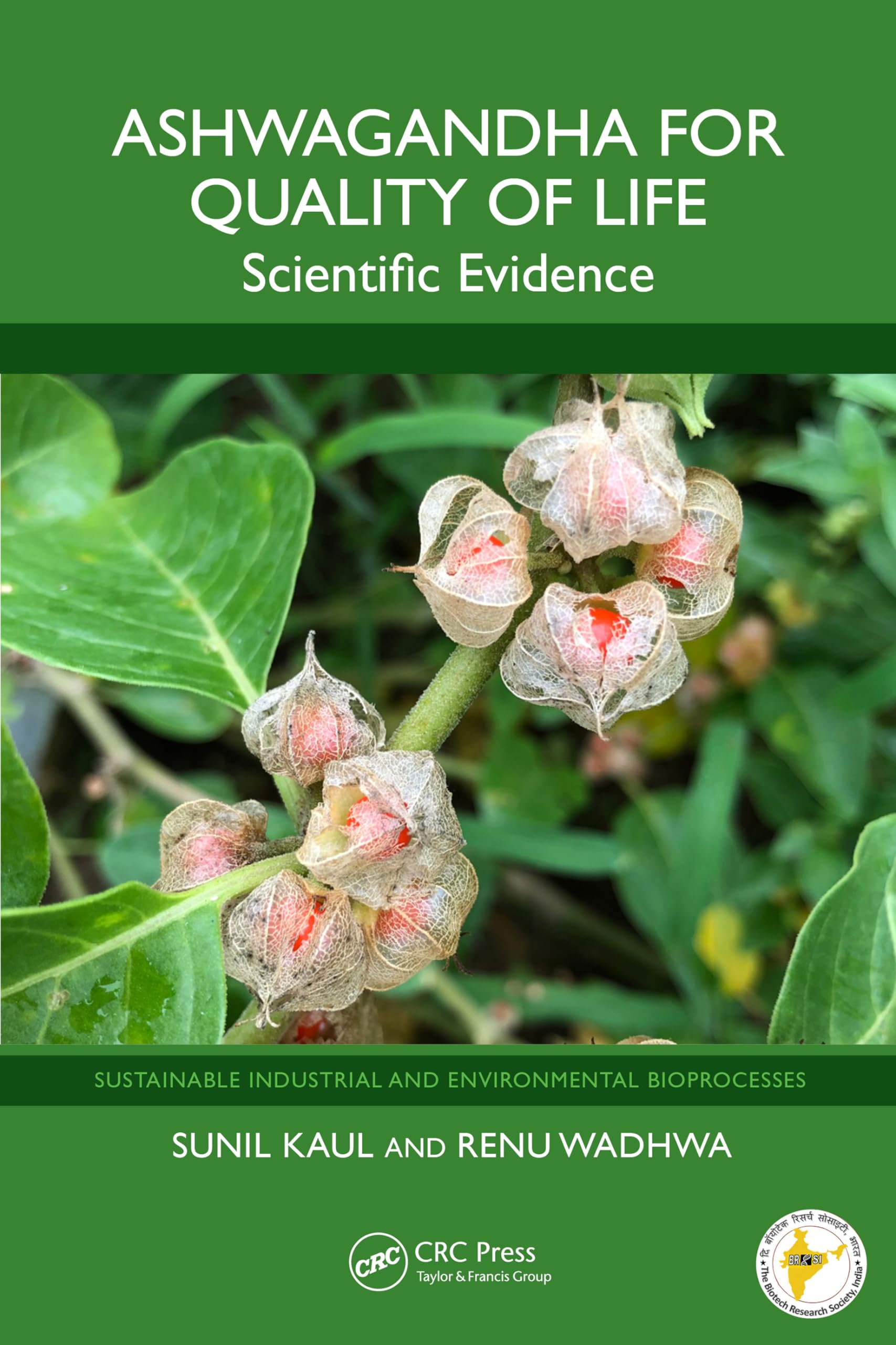 Ashwagandha for Quality of Life Medicine