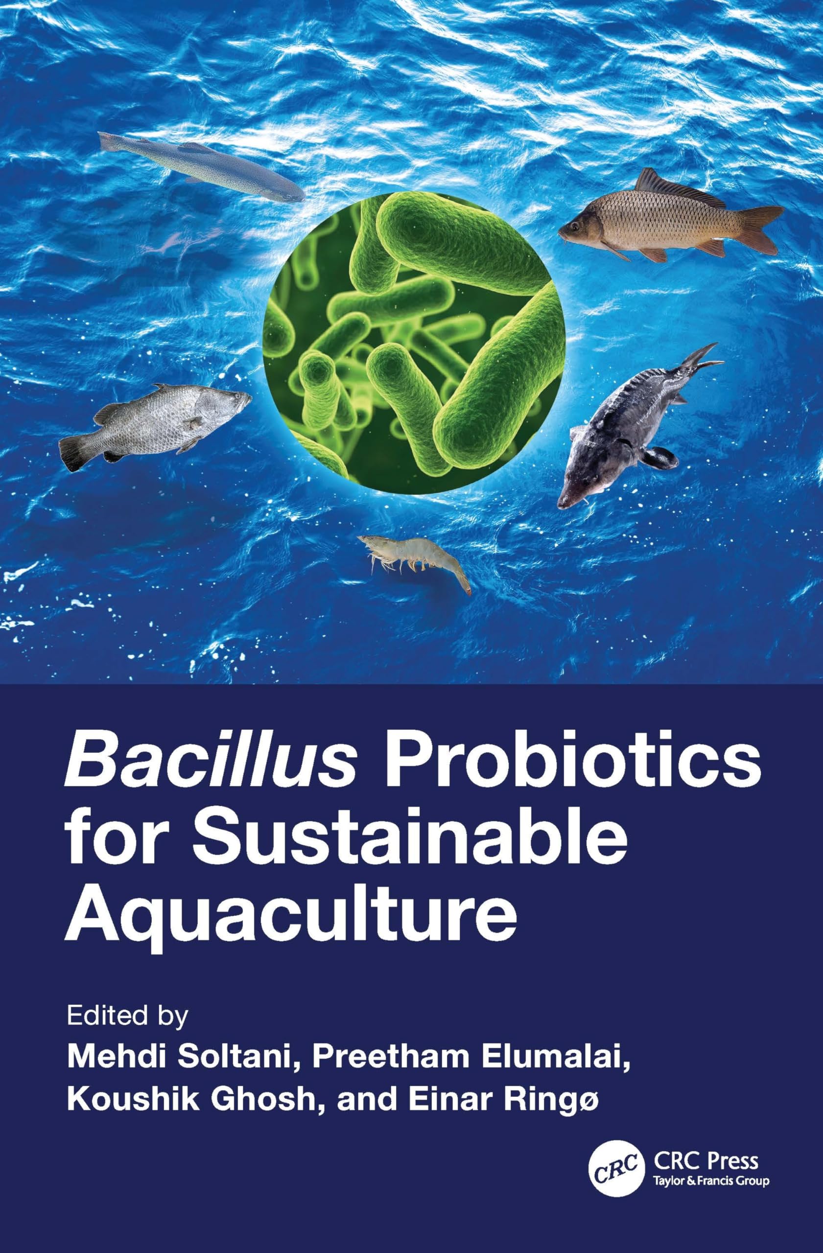 Bacillus Probiotics for Sustainable Aquaculture Medicine