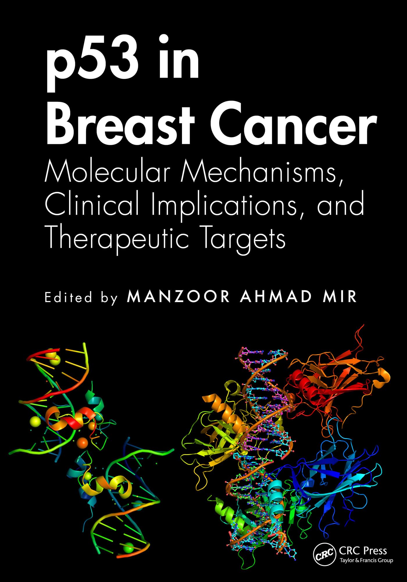 p53 in Breast Cancer Medicine