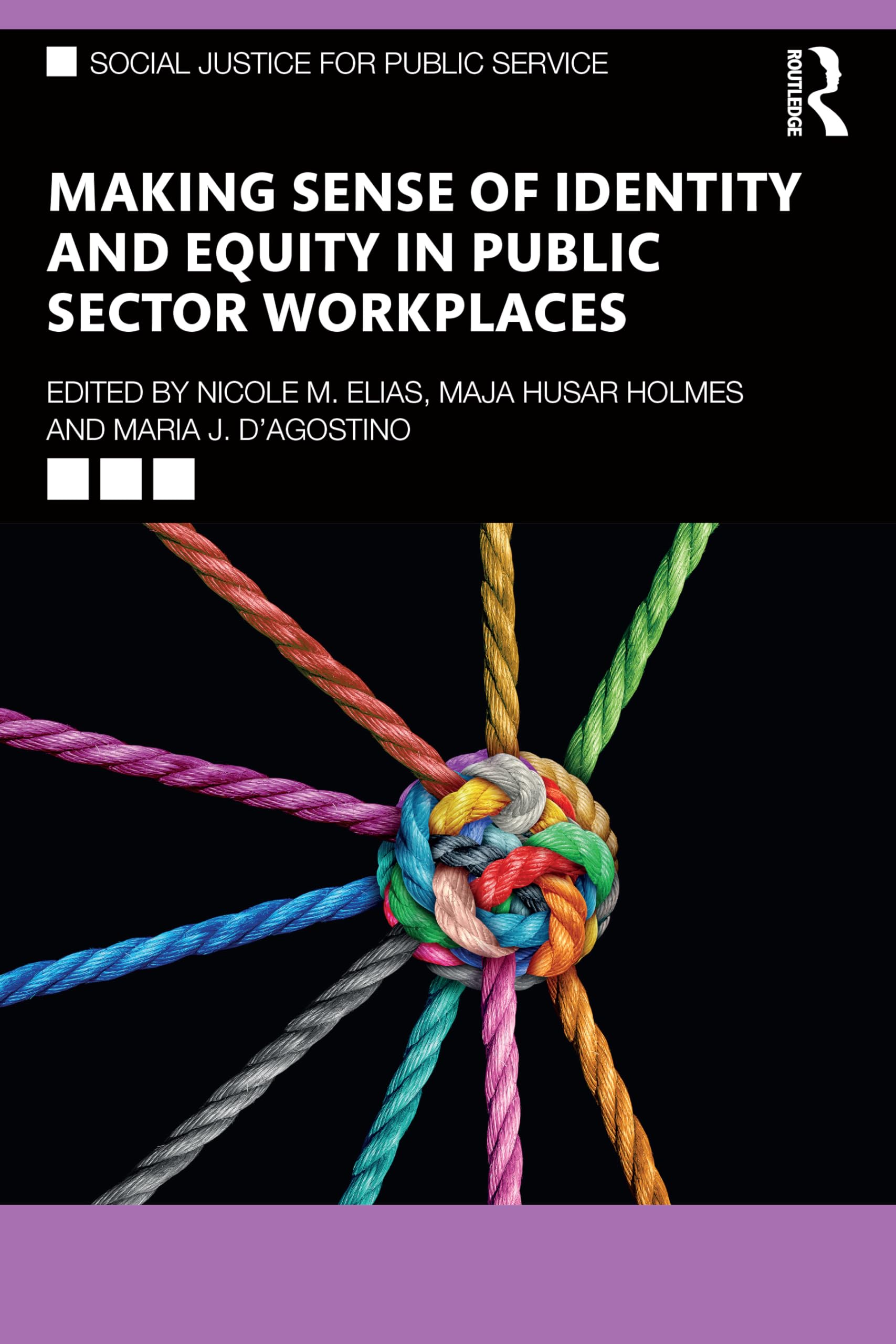 Making Sense of Identity and Equity in Public Sector Workplaces Law