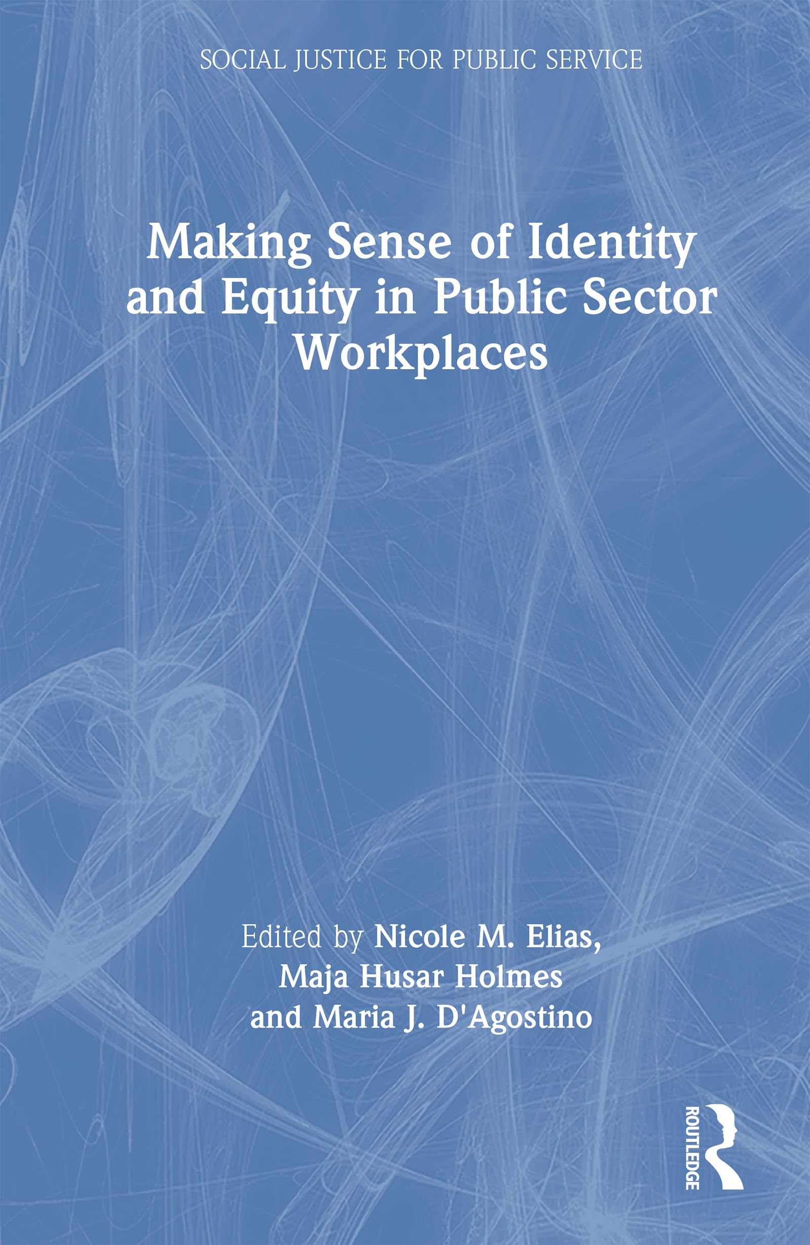 Making Sense of Identity and Equity in Public Sector Workplaces Law