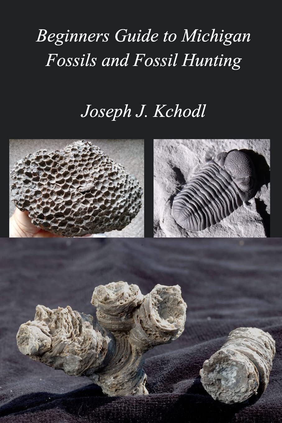 Beginners Guide to Michigan Fossils and Fossil Hunting Hobbies & Crafts