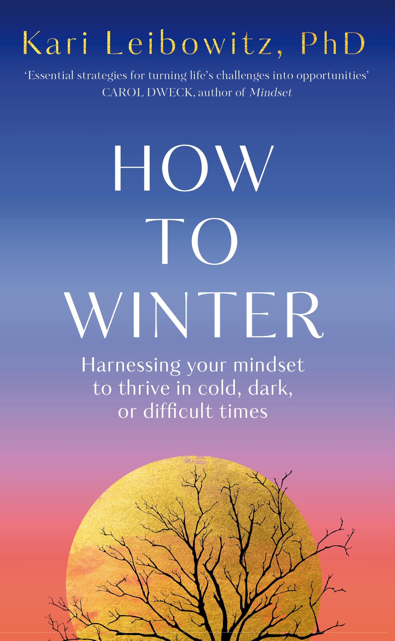 How to Winter: Harnessing Your Mindset to Thrive In Cold, Dark or Difficult Times Business, Finance & Career