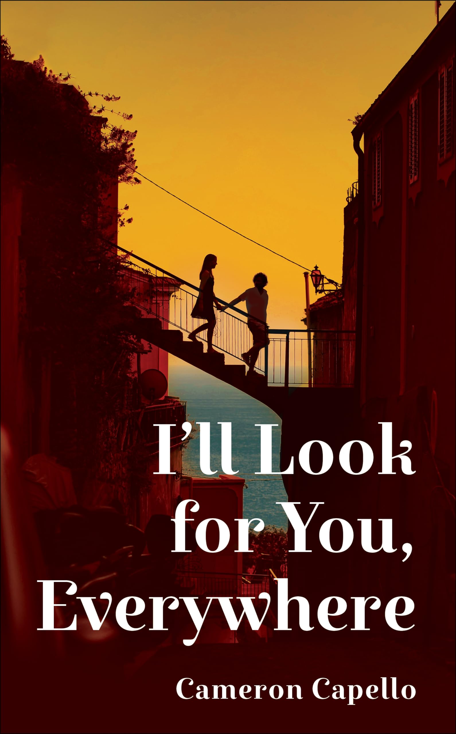 I'll Look for You, Everywhere: The Intoxicating and Emotional Love Story Full of Tension and Angst Contemporary literature Books