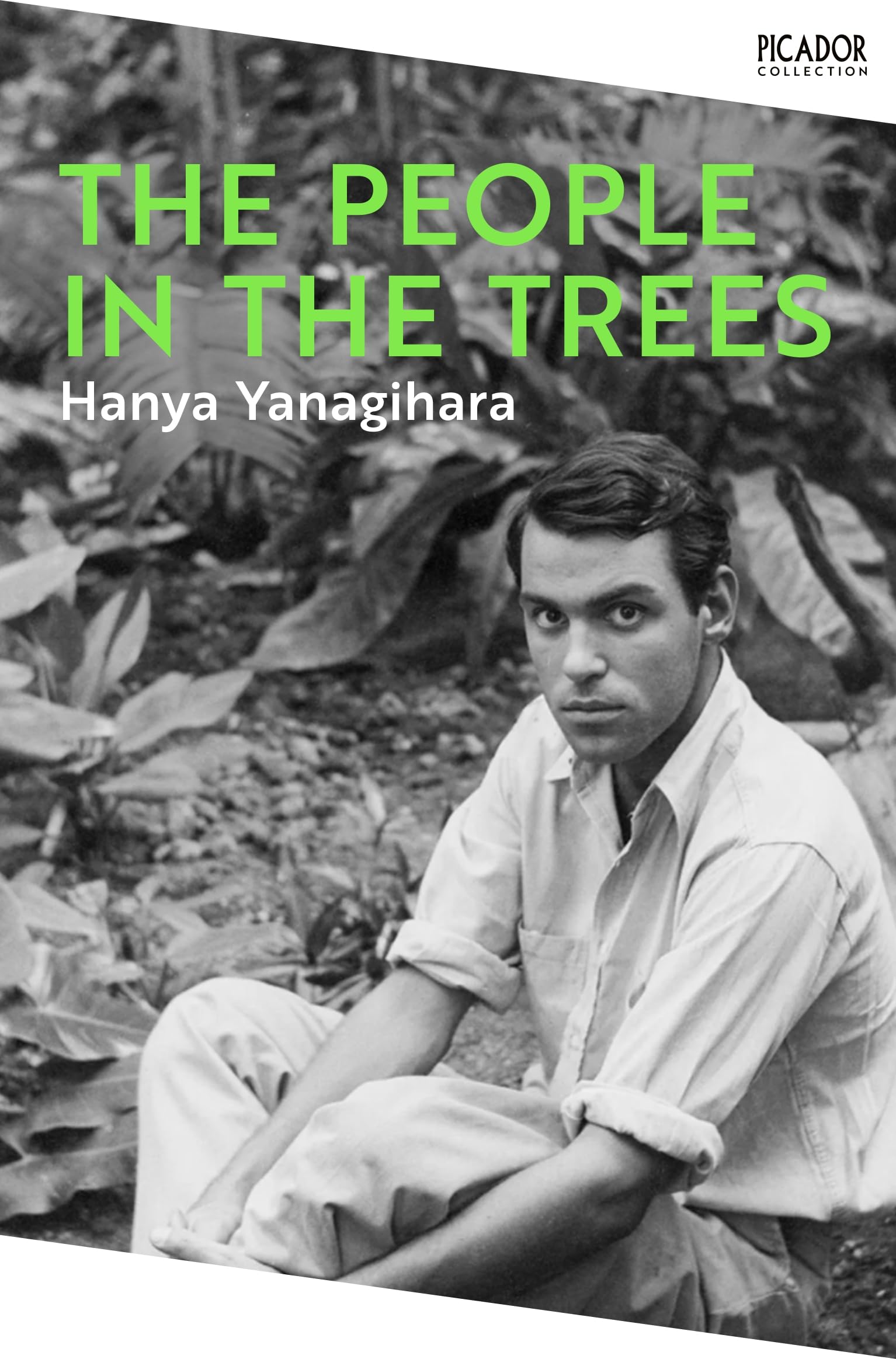The People in the Trees Contemporary literature