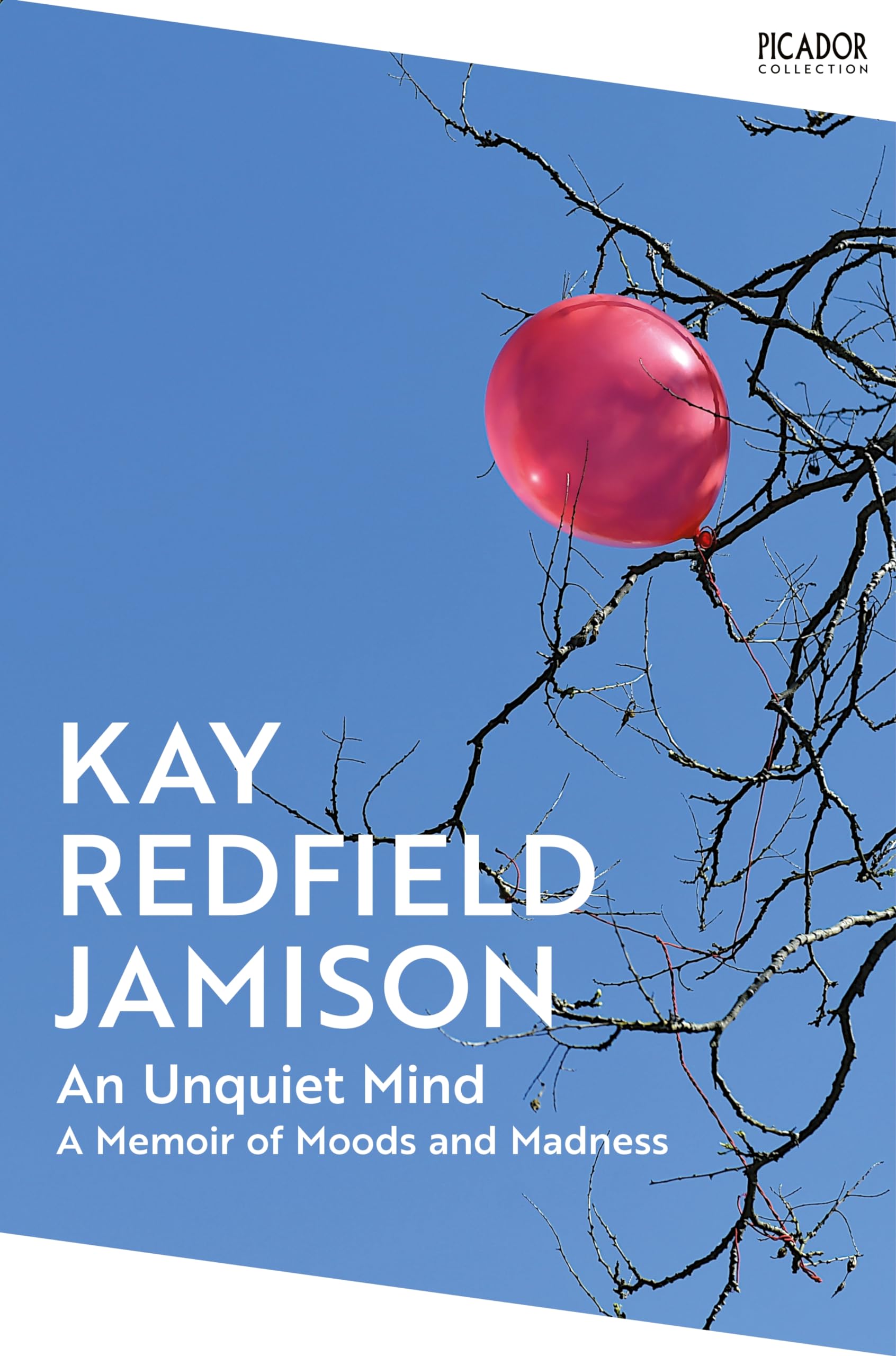 An Unquiet Mind Medicine