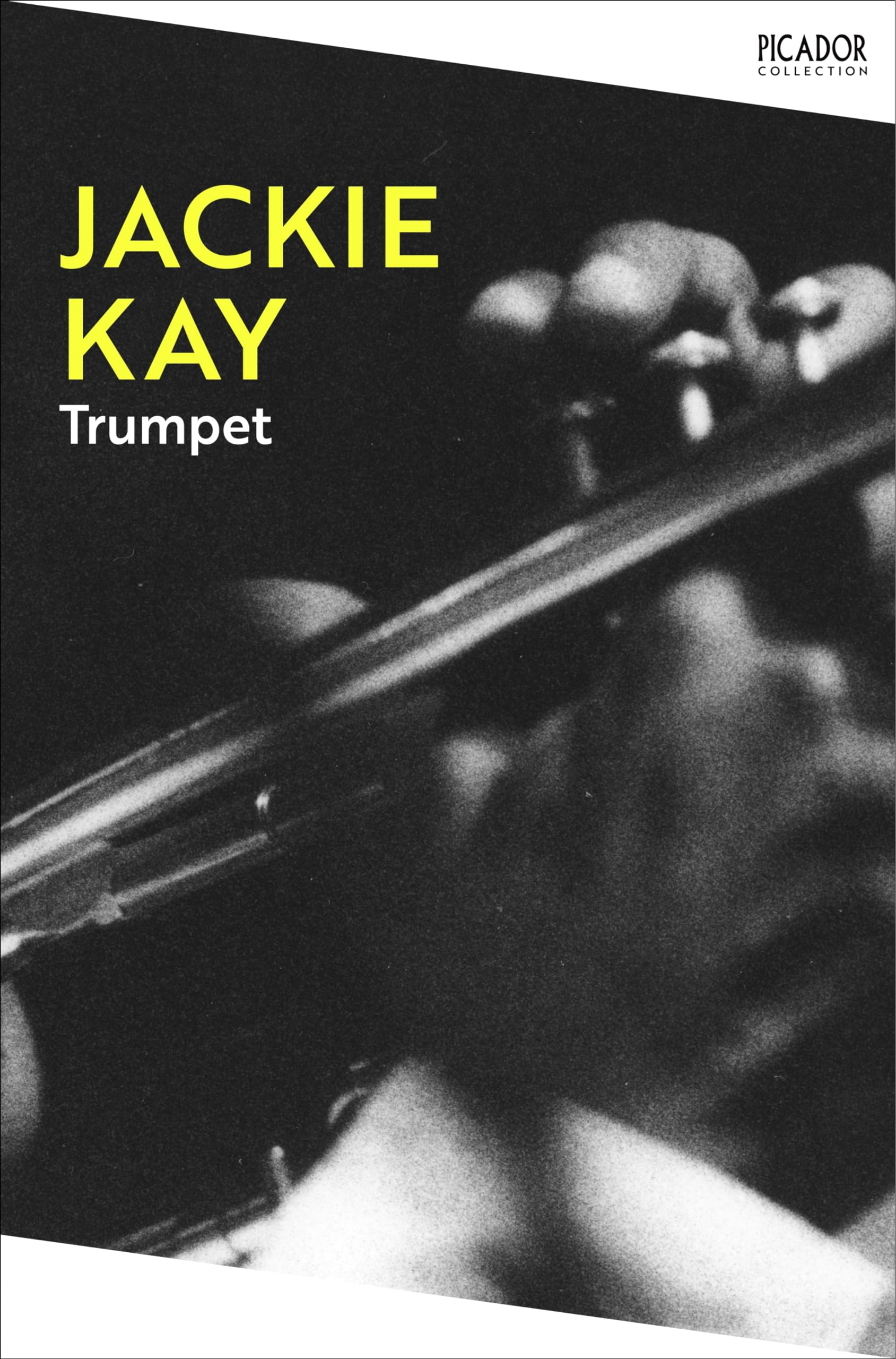 Trumpet: Picador Classic (Picador Collection, Band 146) Social Sciences