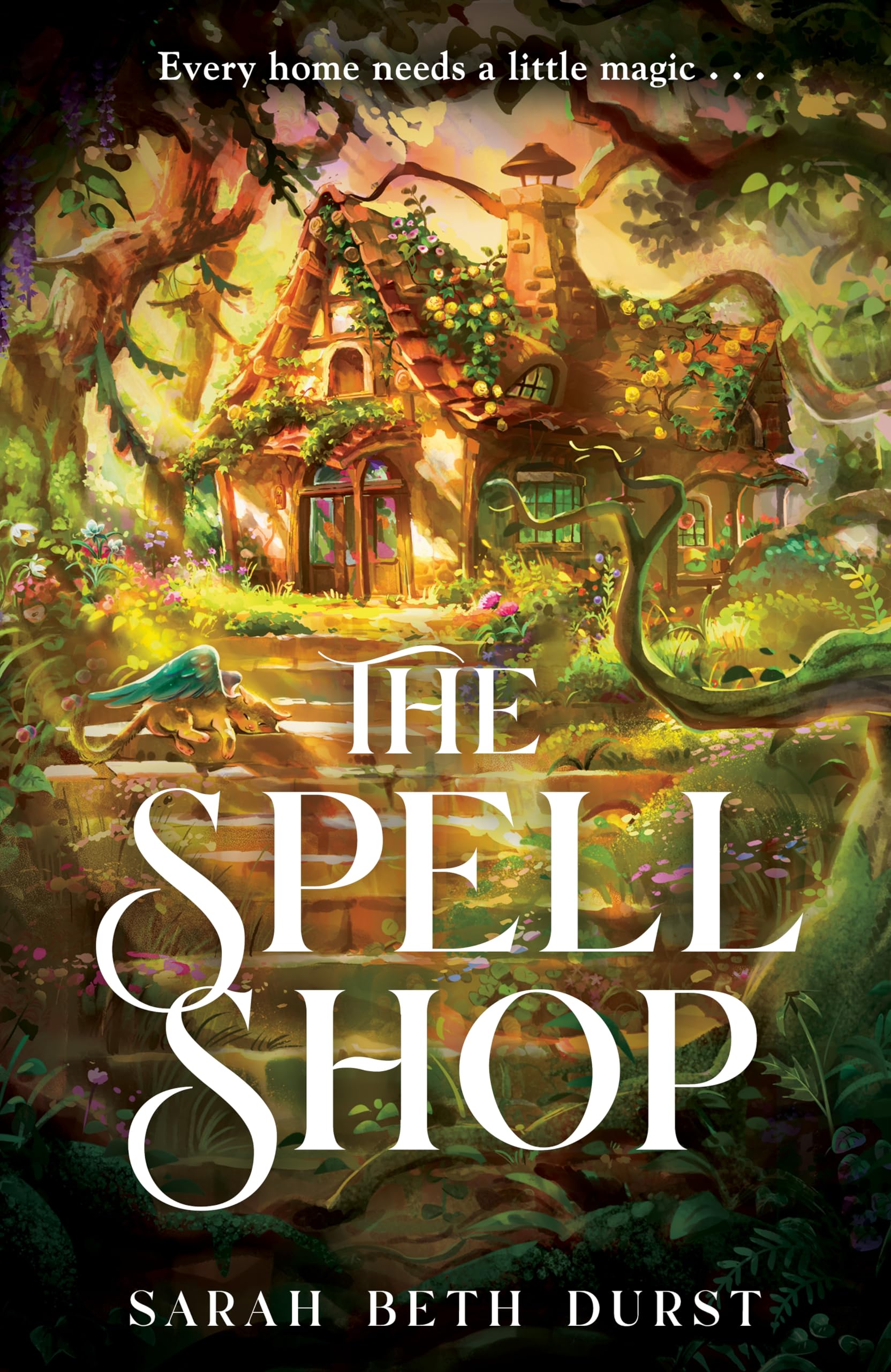 The Spellshop Contemporary literature Books