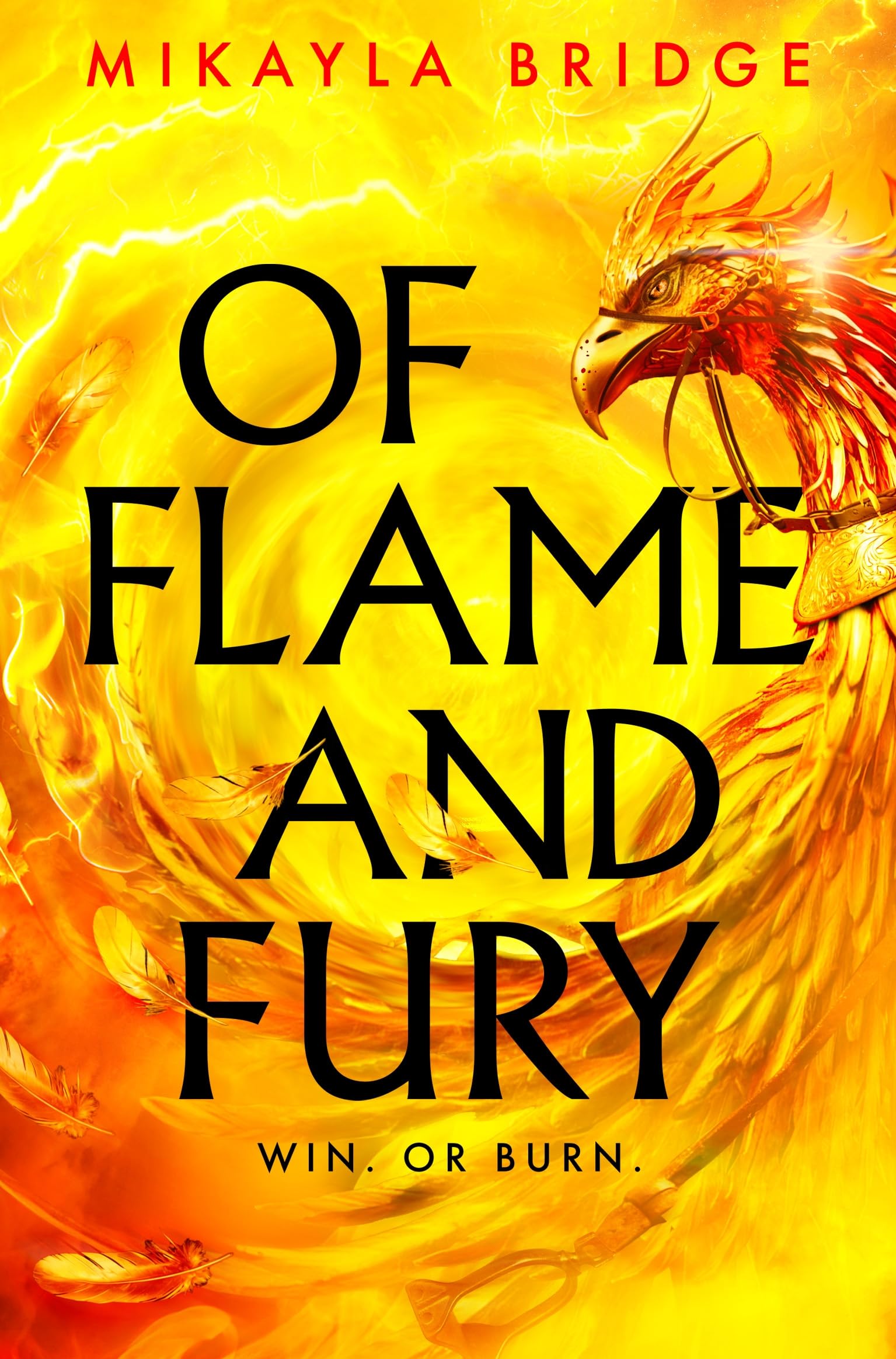 Of Flame and Fury Romance