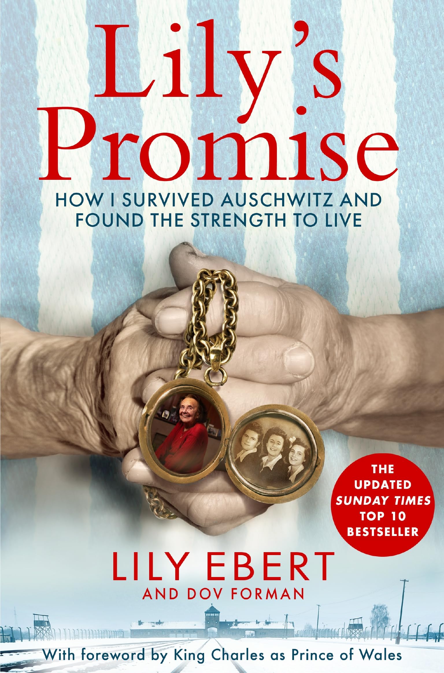 Lily's Promise: How I Survived Auschwitz and Found the Strength to Live Politics & Society