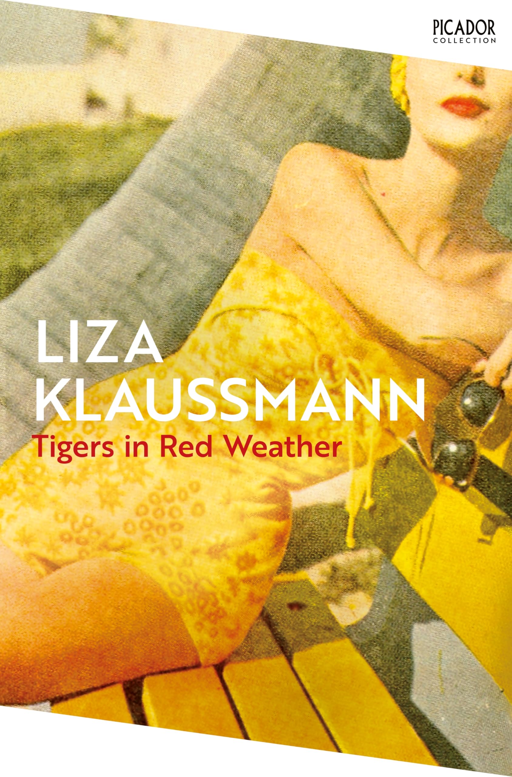 Tigers in Red Weather Contemporary literature