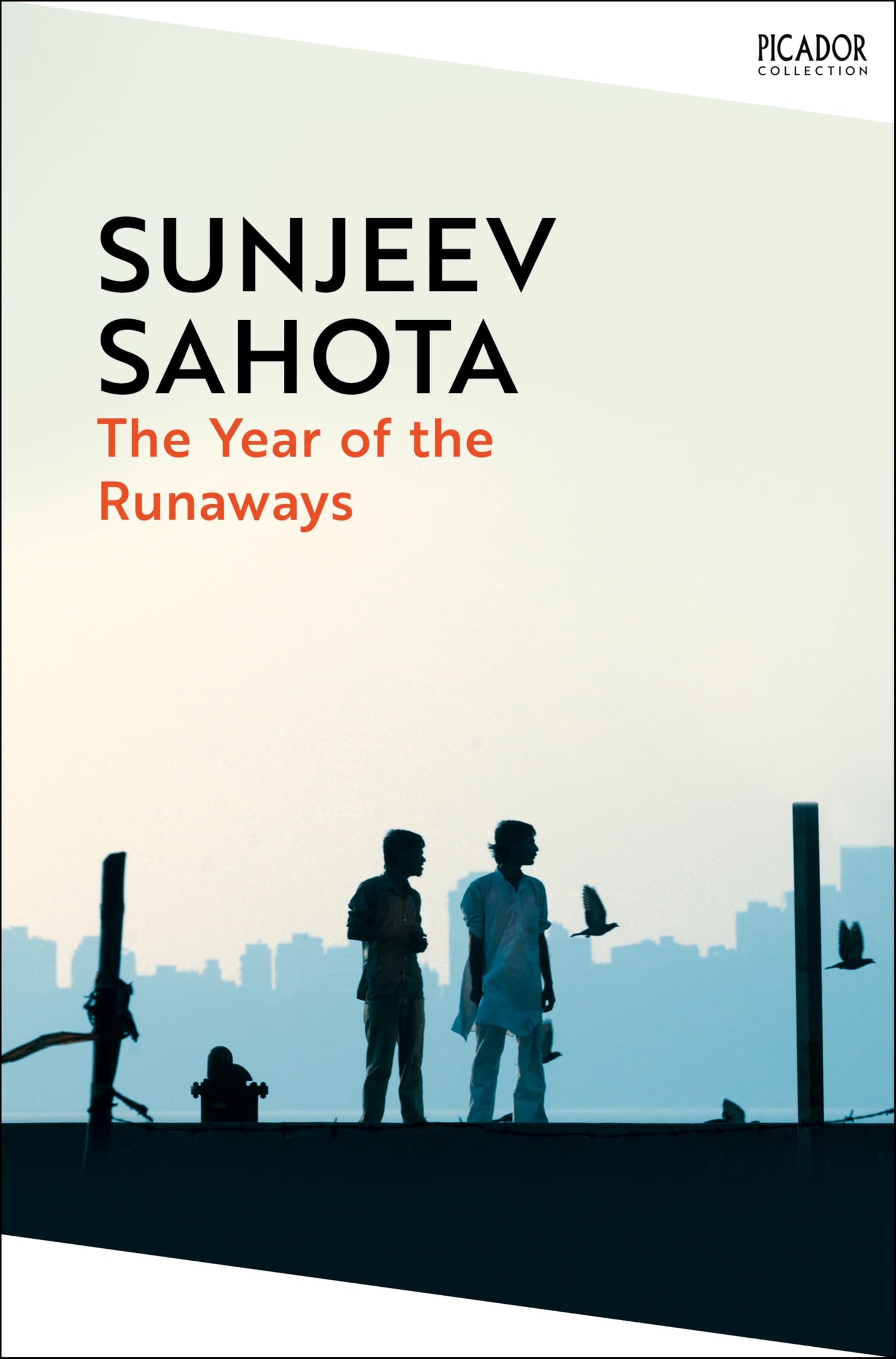 The Year of the Runaways Contemporary literature