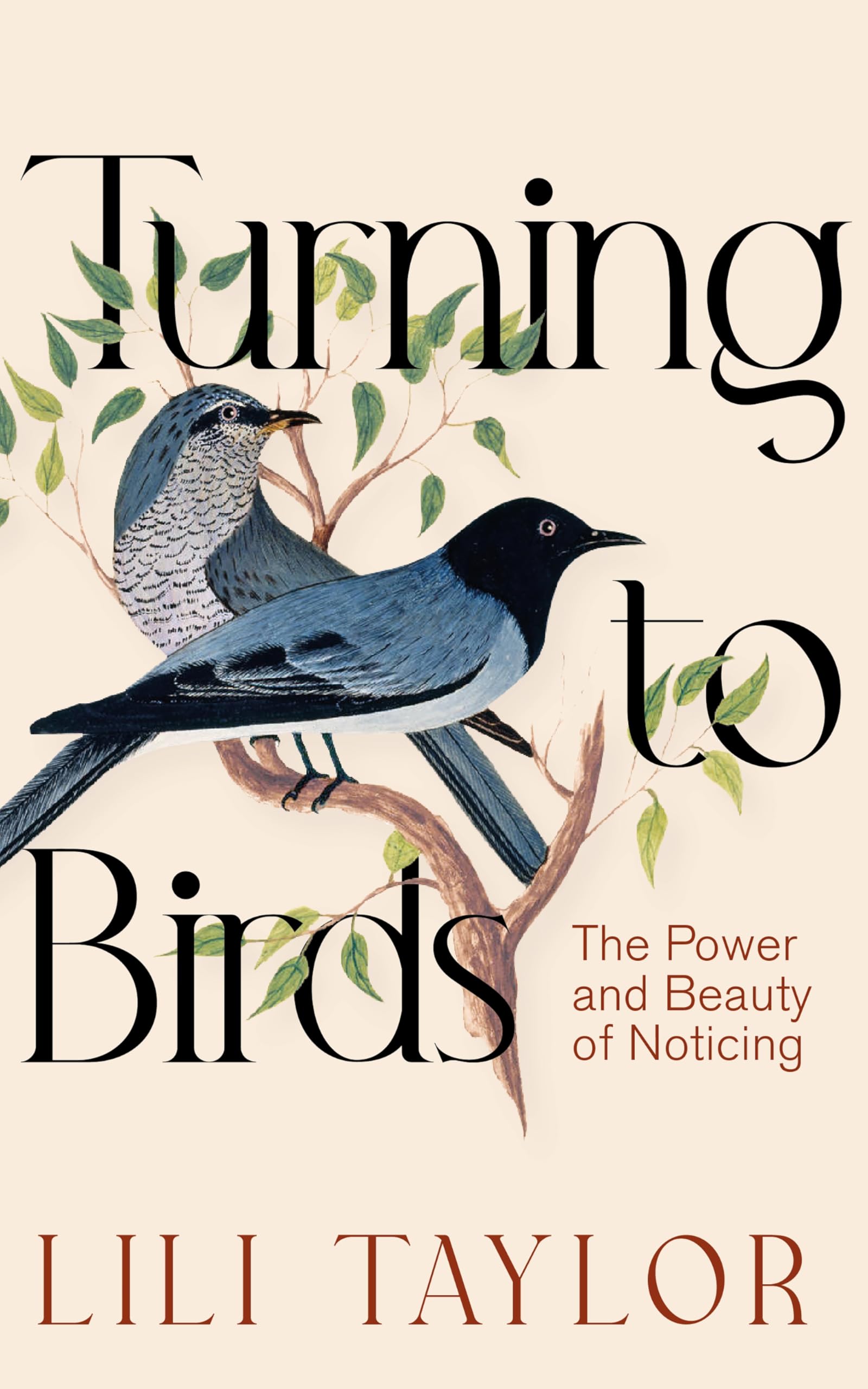Turning to Birds: The Power and Beauty of Noticing Essays & Short Stories