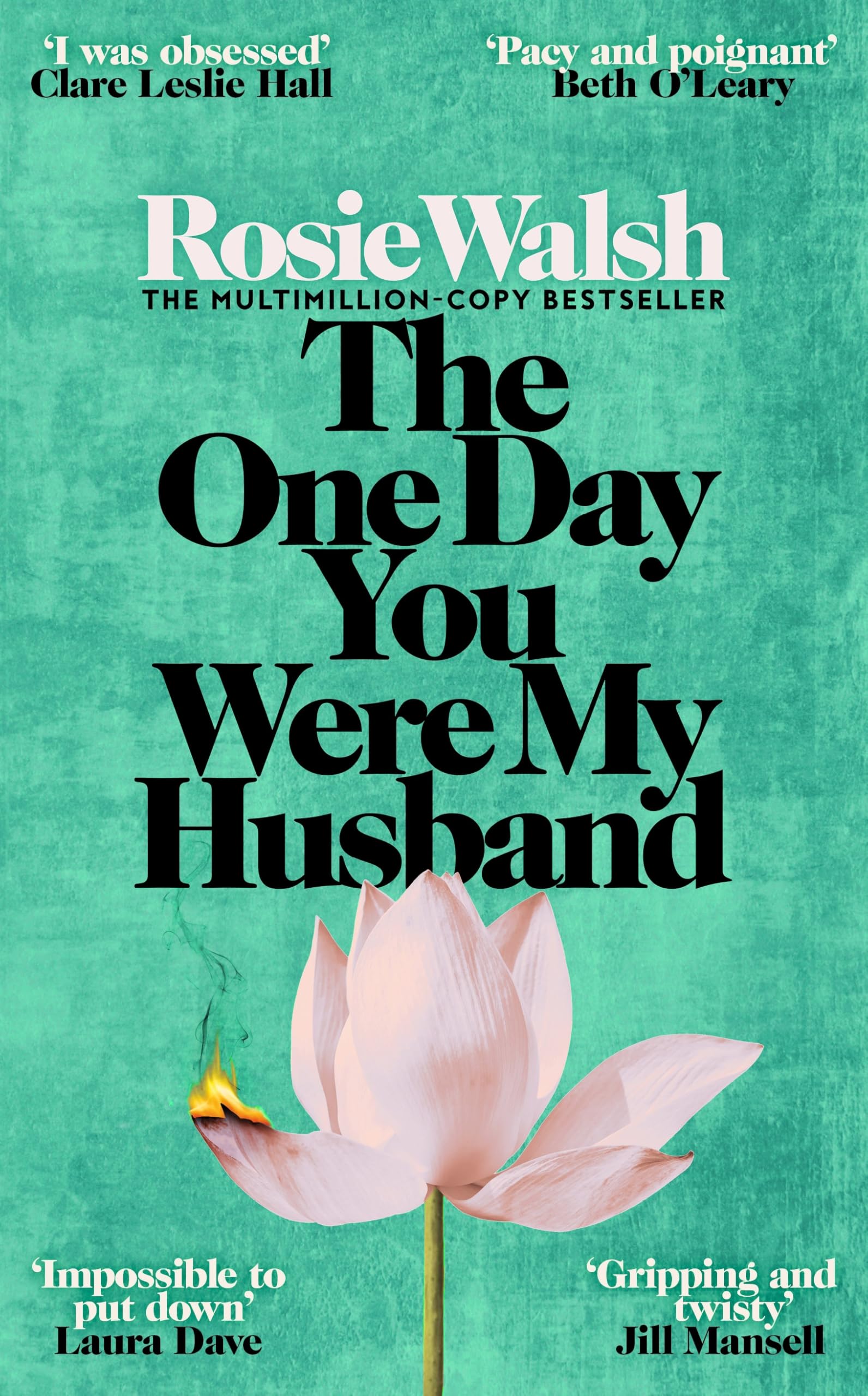 The One Day You Were My Husband Contemporary literature