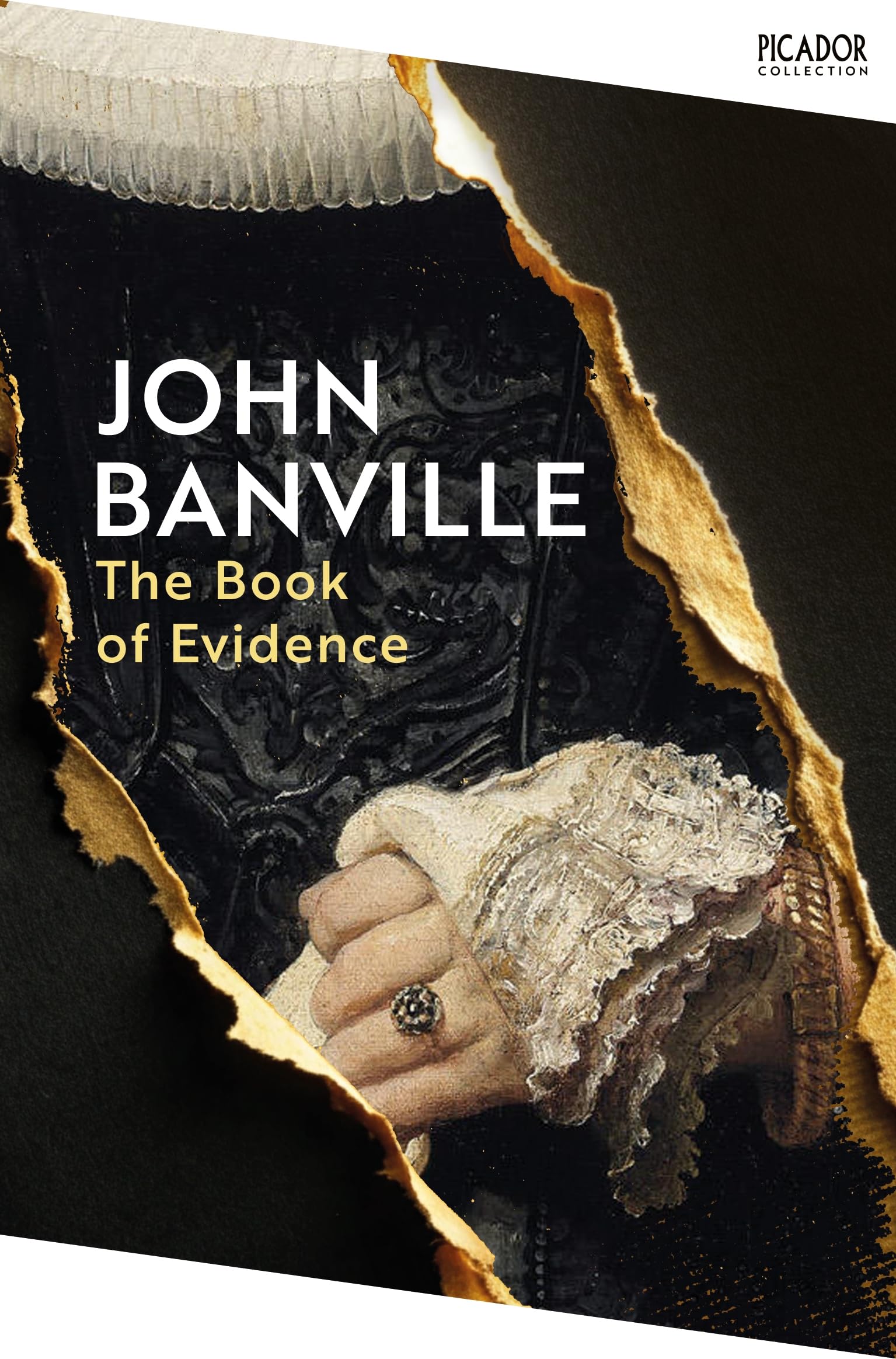 The Book of Evidence (Picador Collection) Contemporary literature