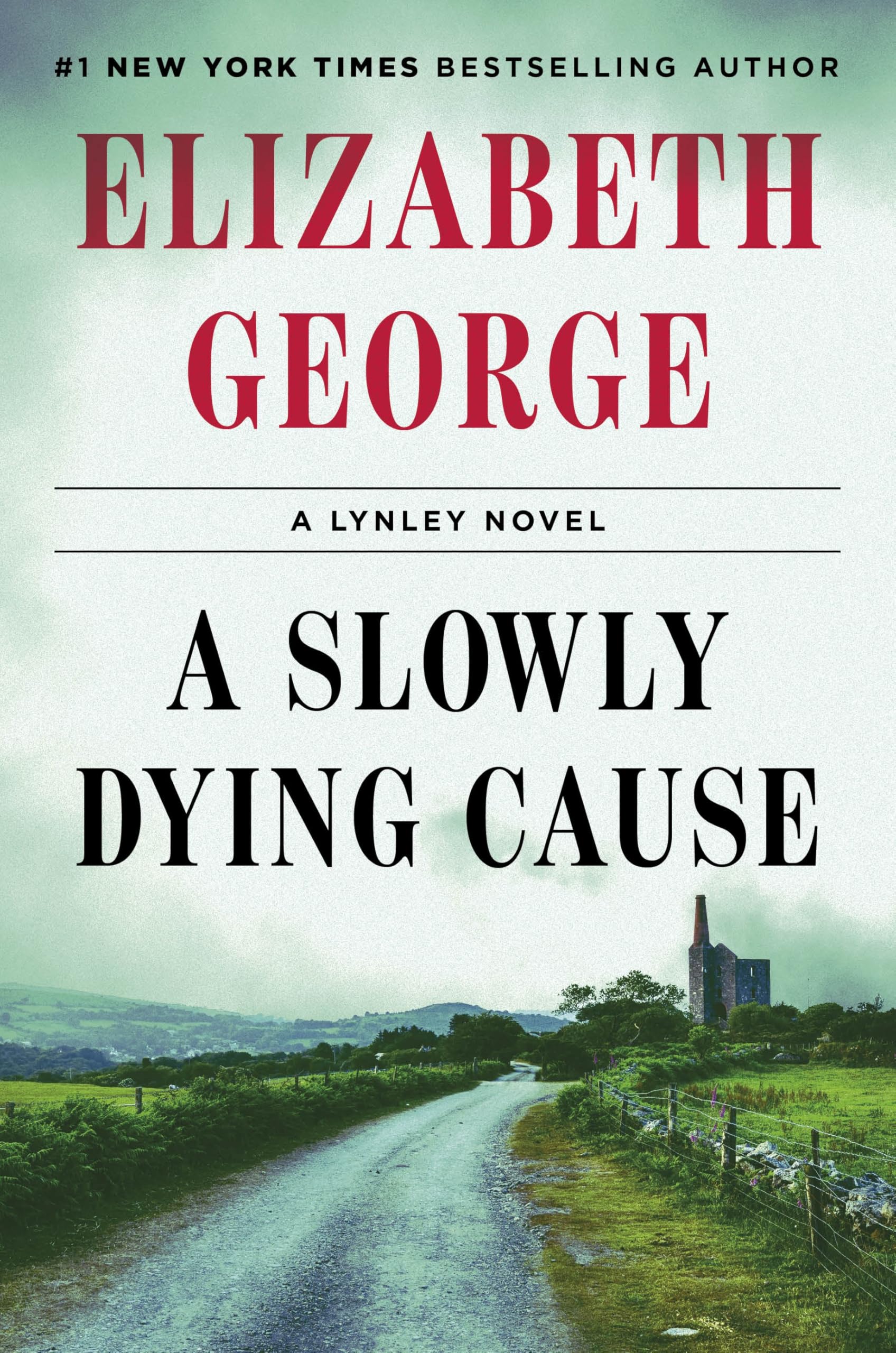 A Slowly Dying Cause: A Page-Turning Mystery Featuring Thomas Lynley from the Sunday Times Bestseller (Inspector Lynley, 22) Contemporary literature